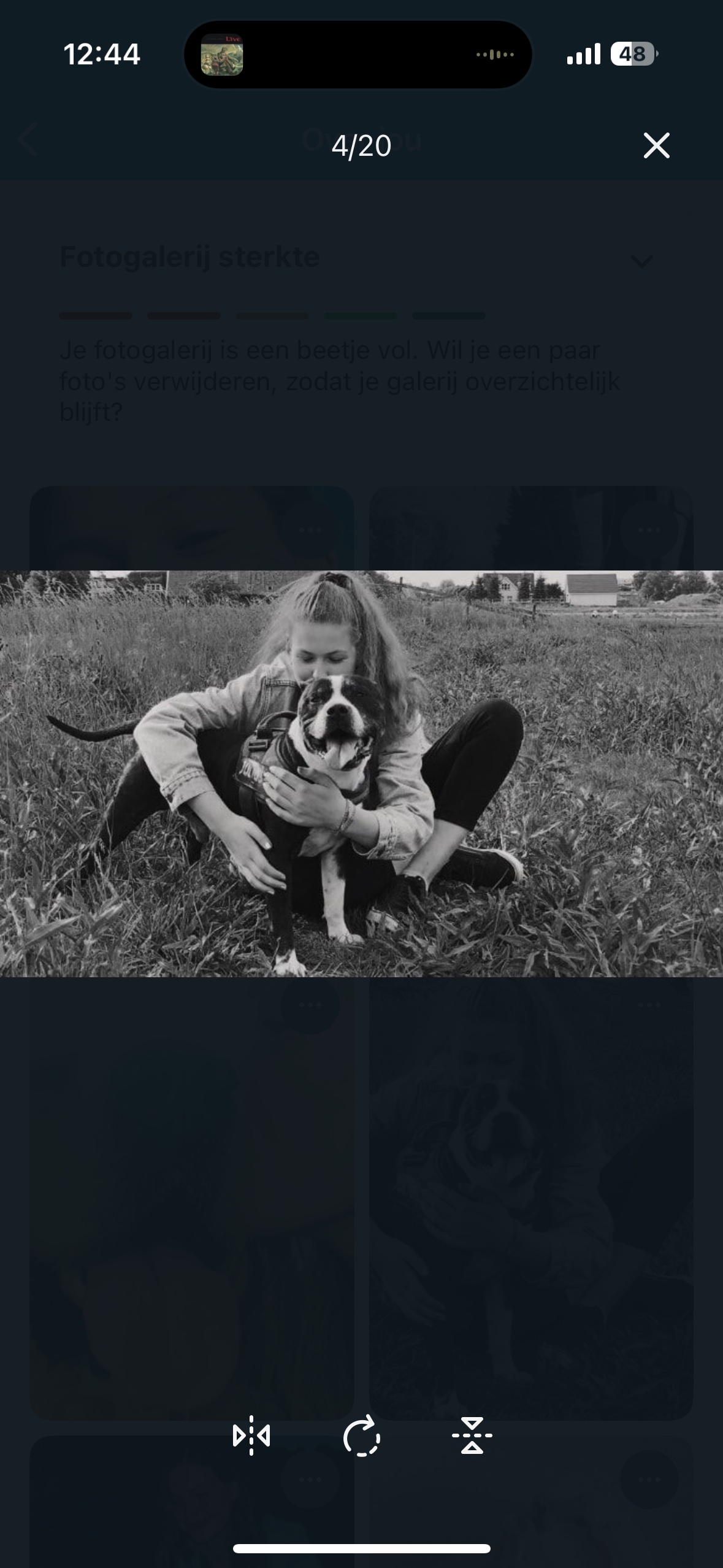 image-2