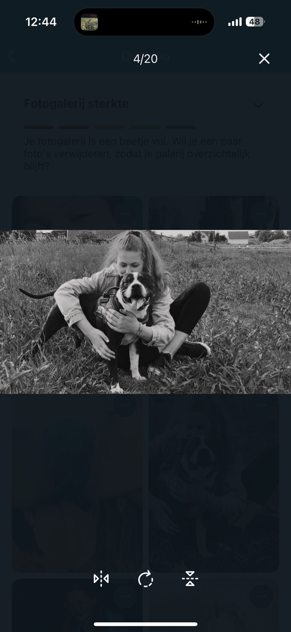 image-2