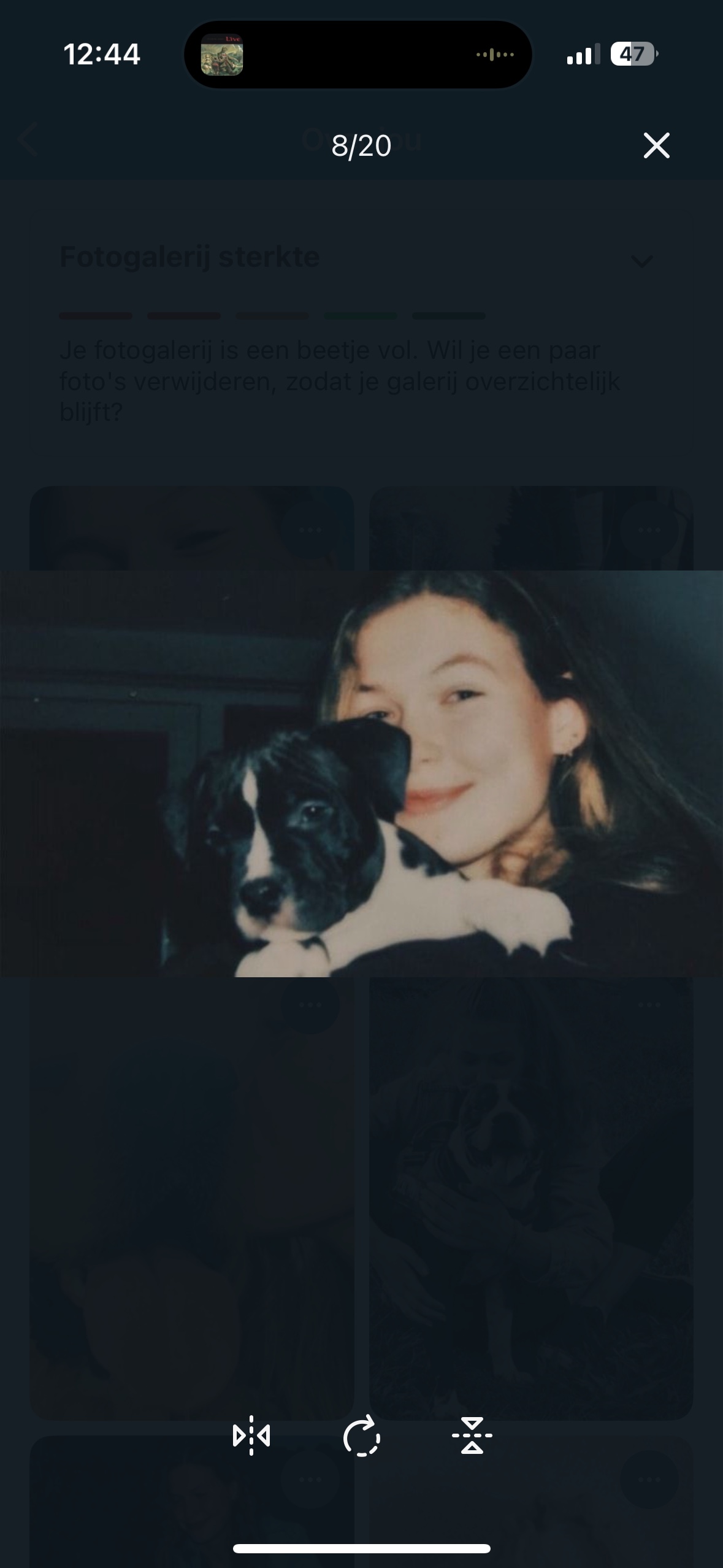 image-6