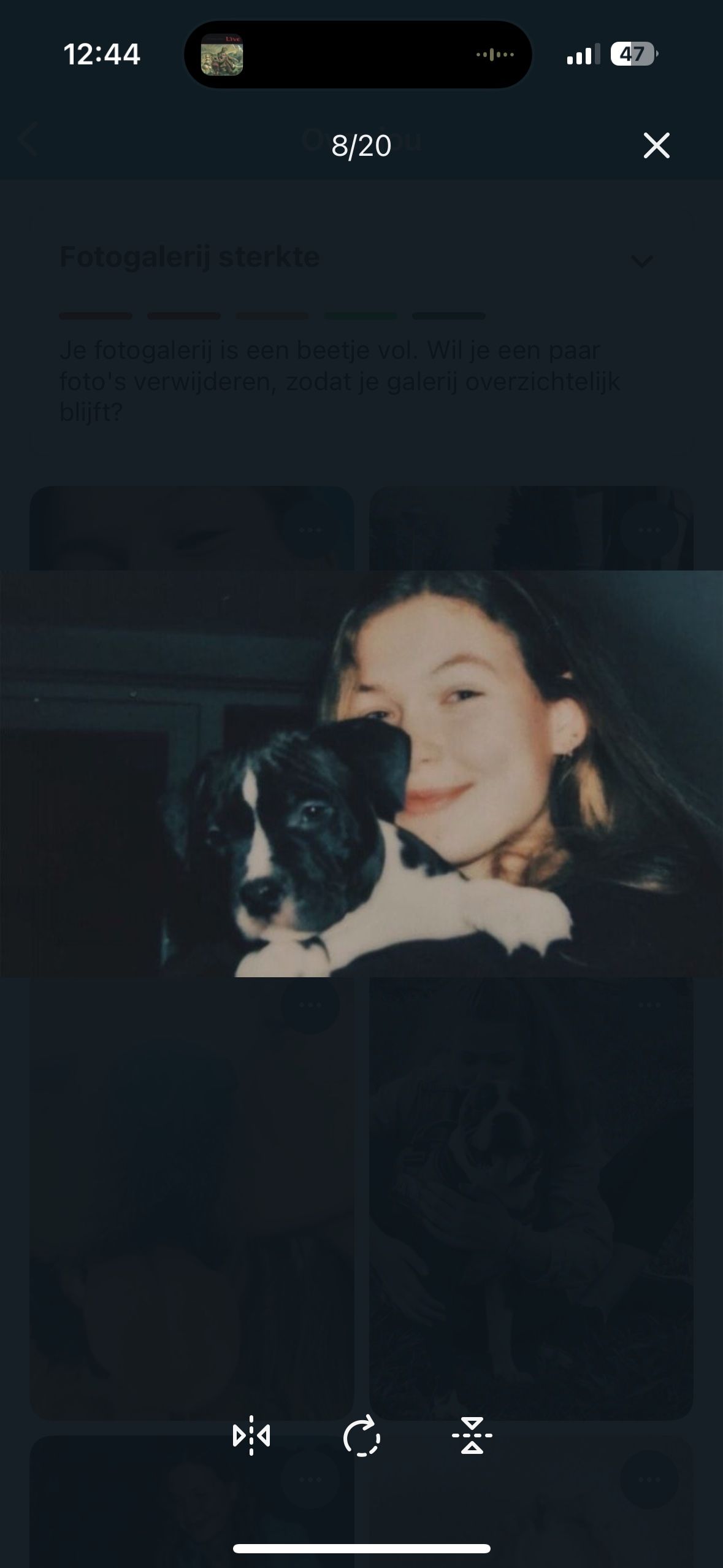 image-6