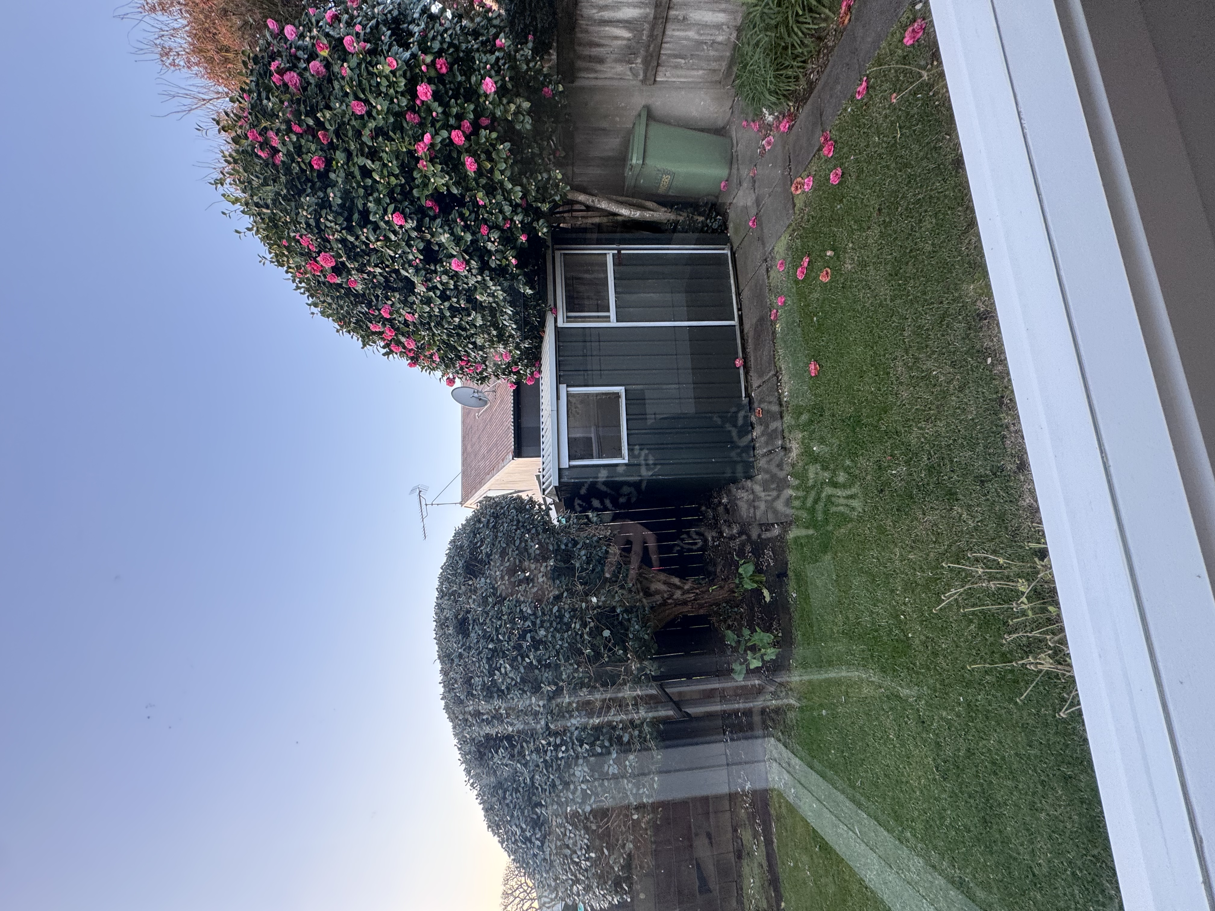 image-28