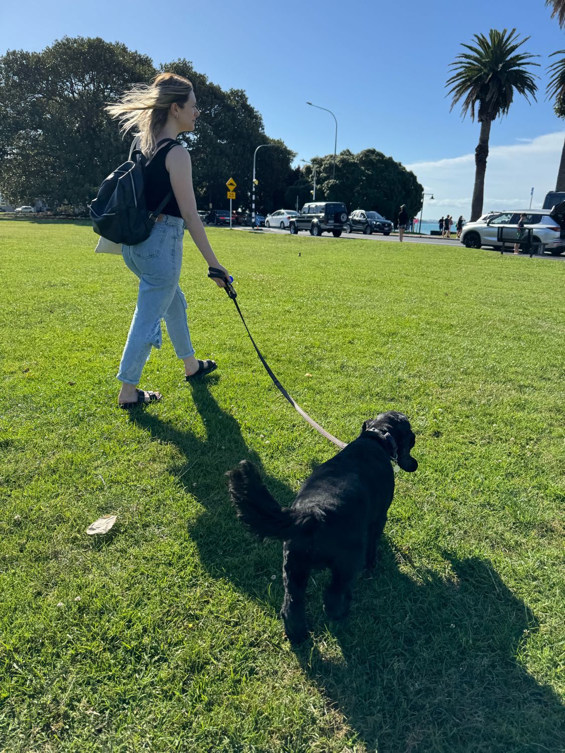 image-16