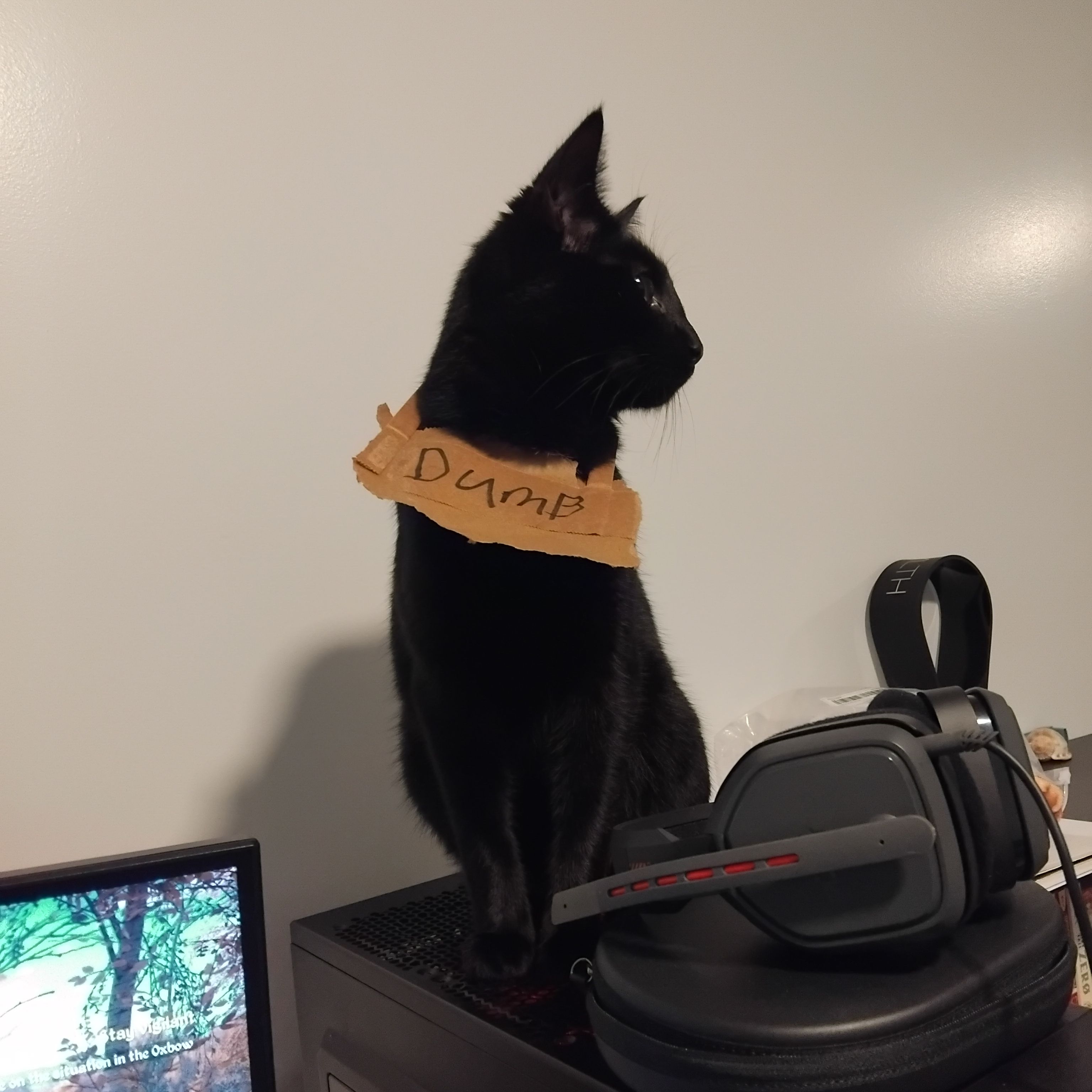 Lucifur