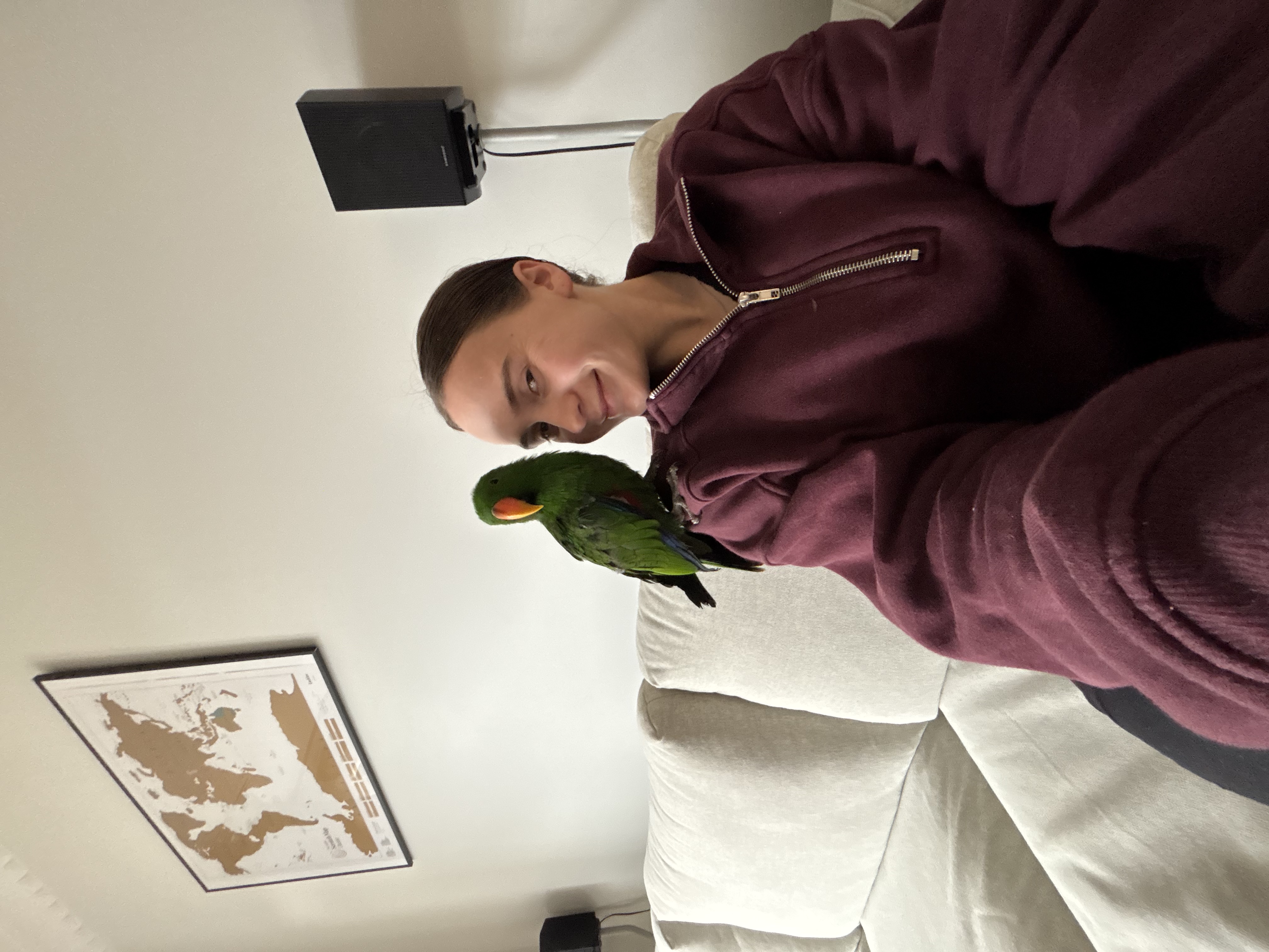 image-10