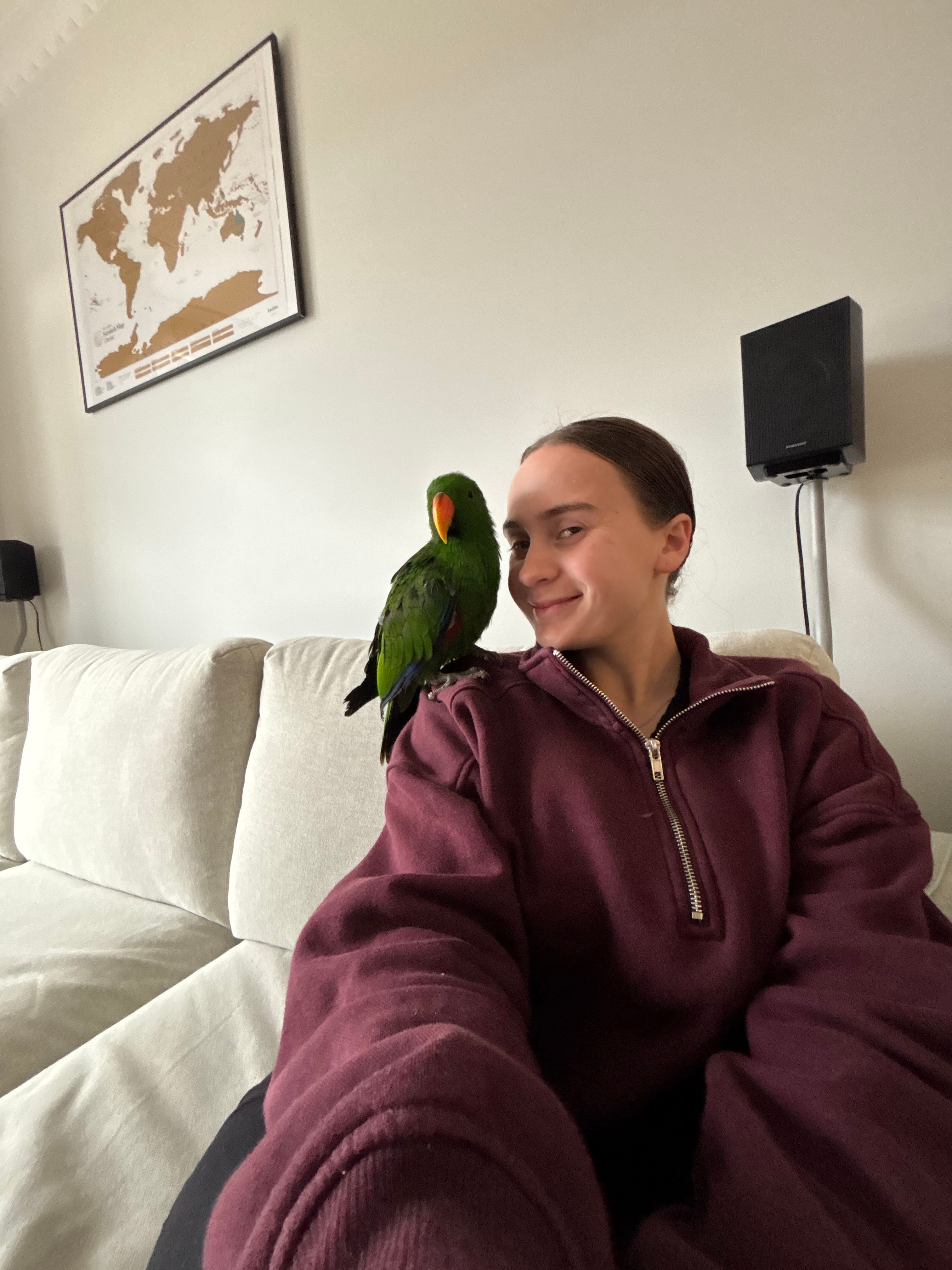 image-10
