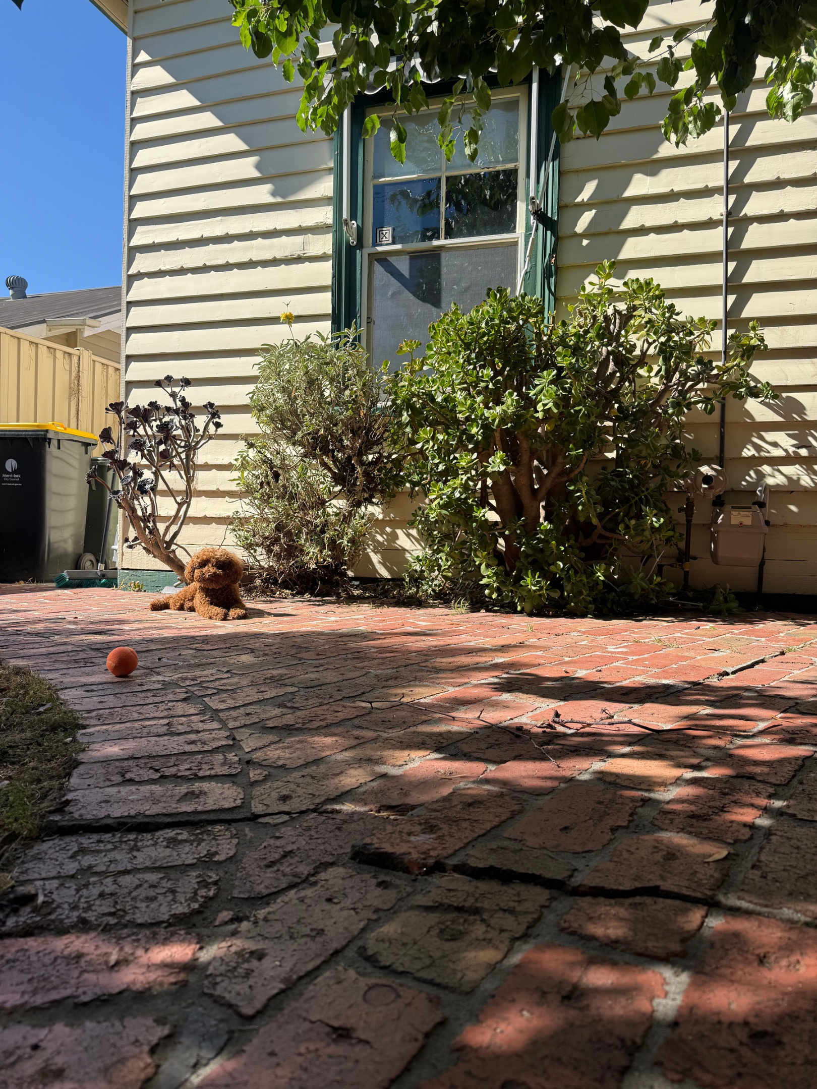 image-18