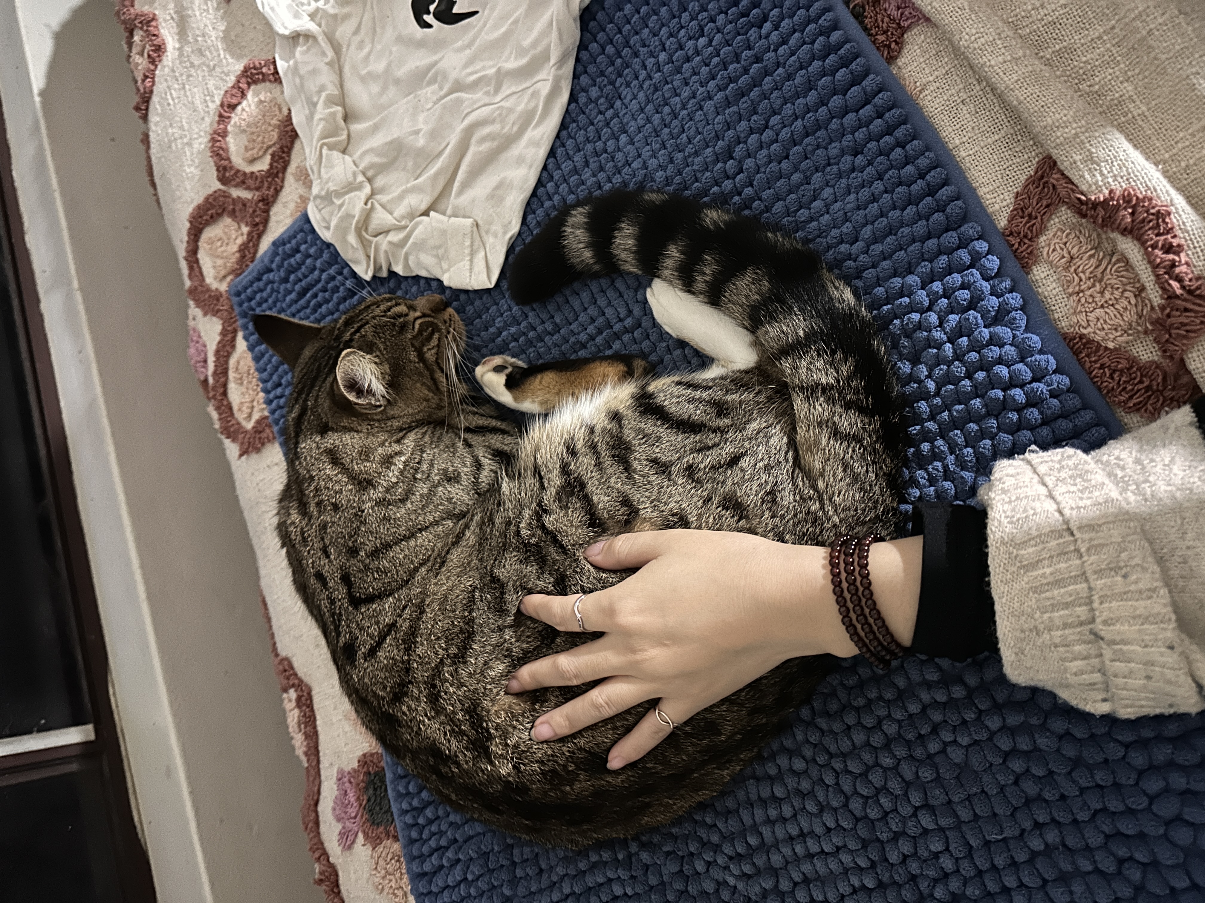 image-12