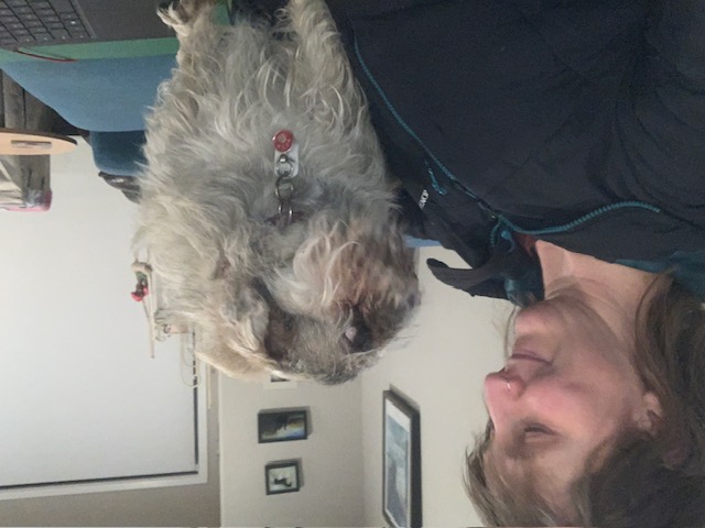 image-5