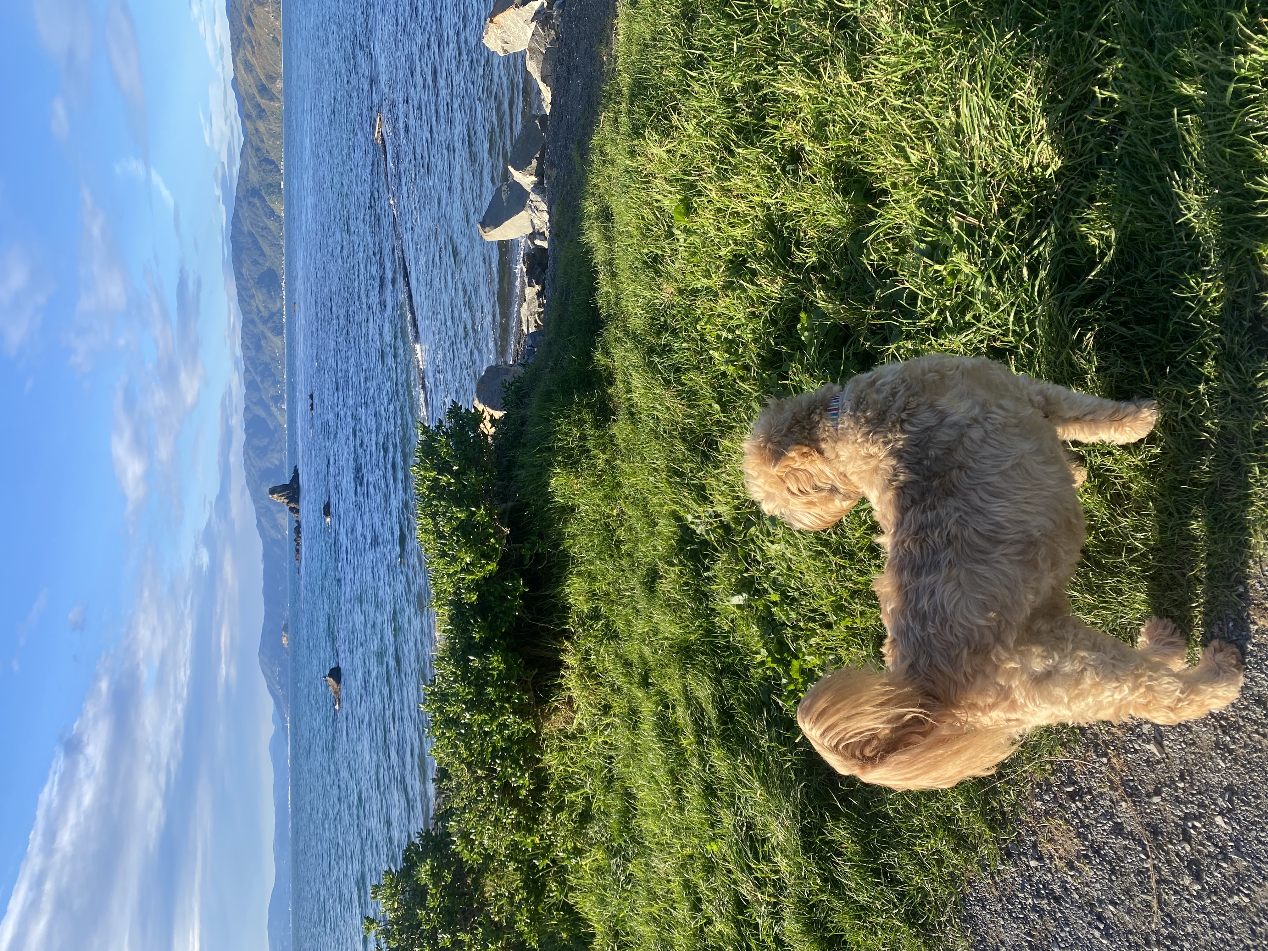 image-8