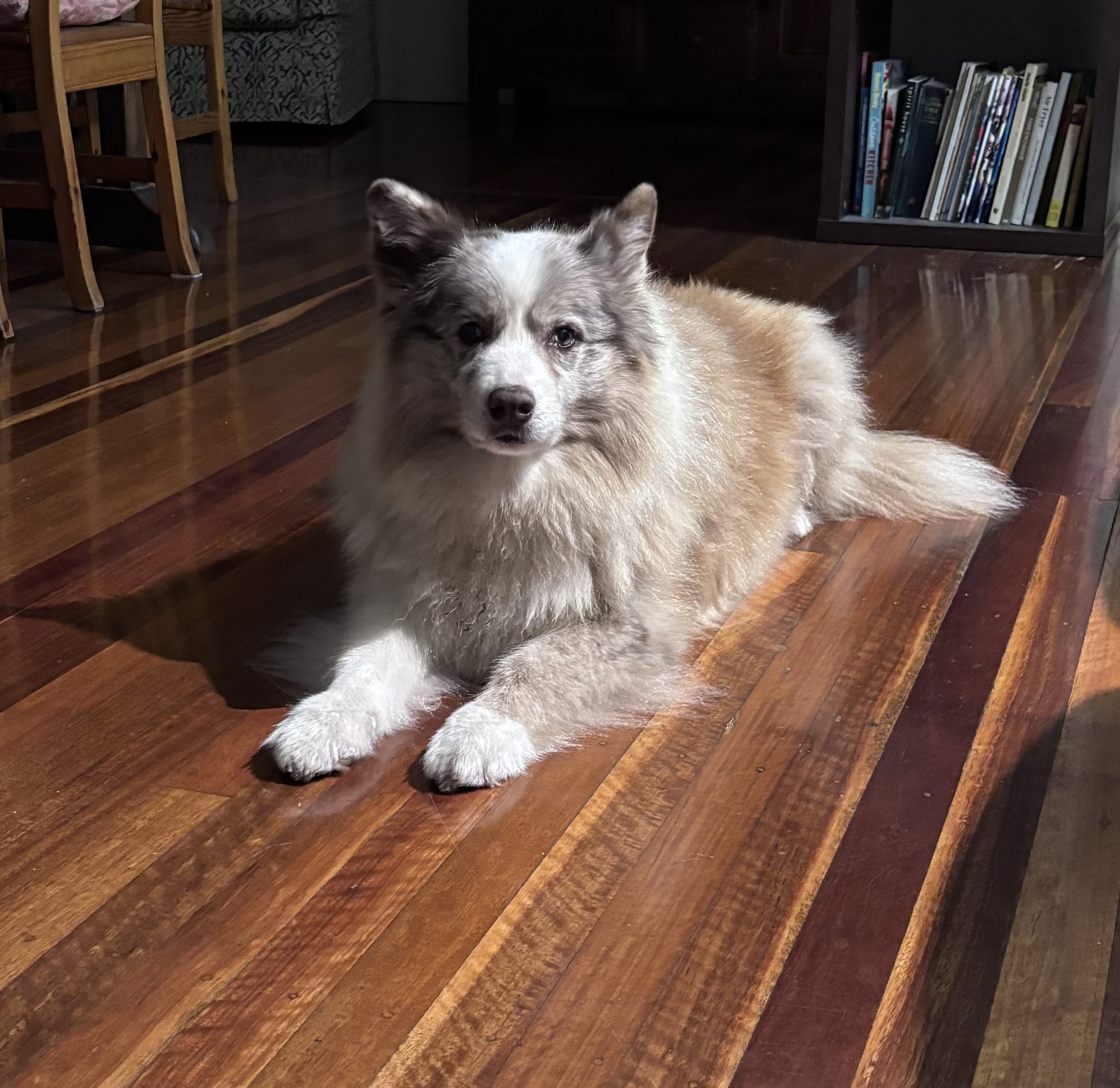 image-11