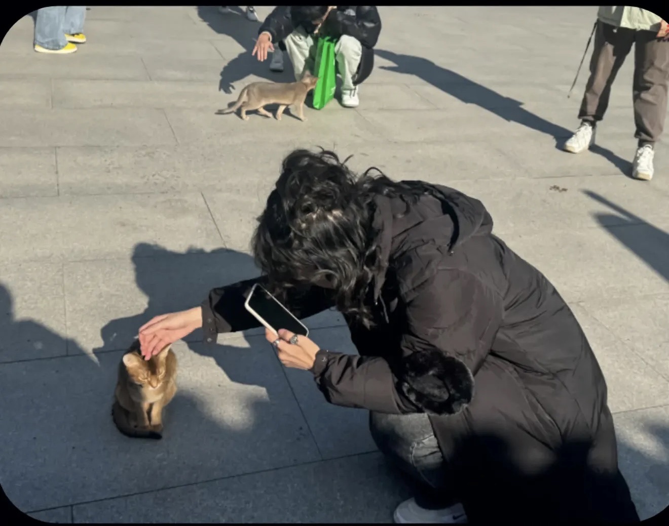 image-26
