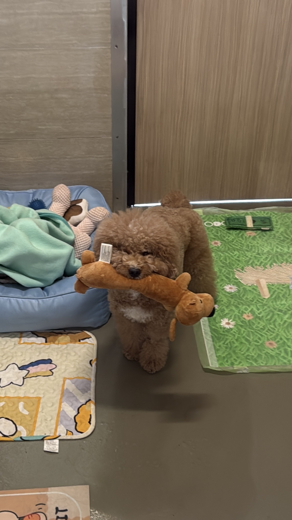 image-15