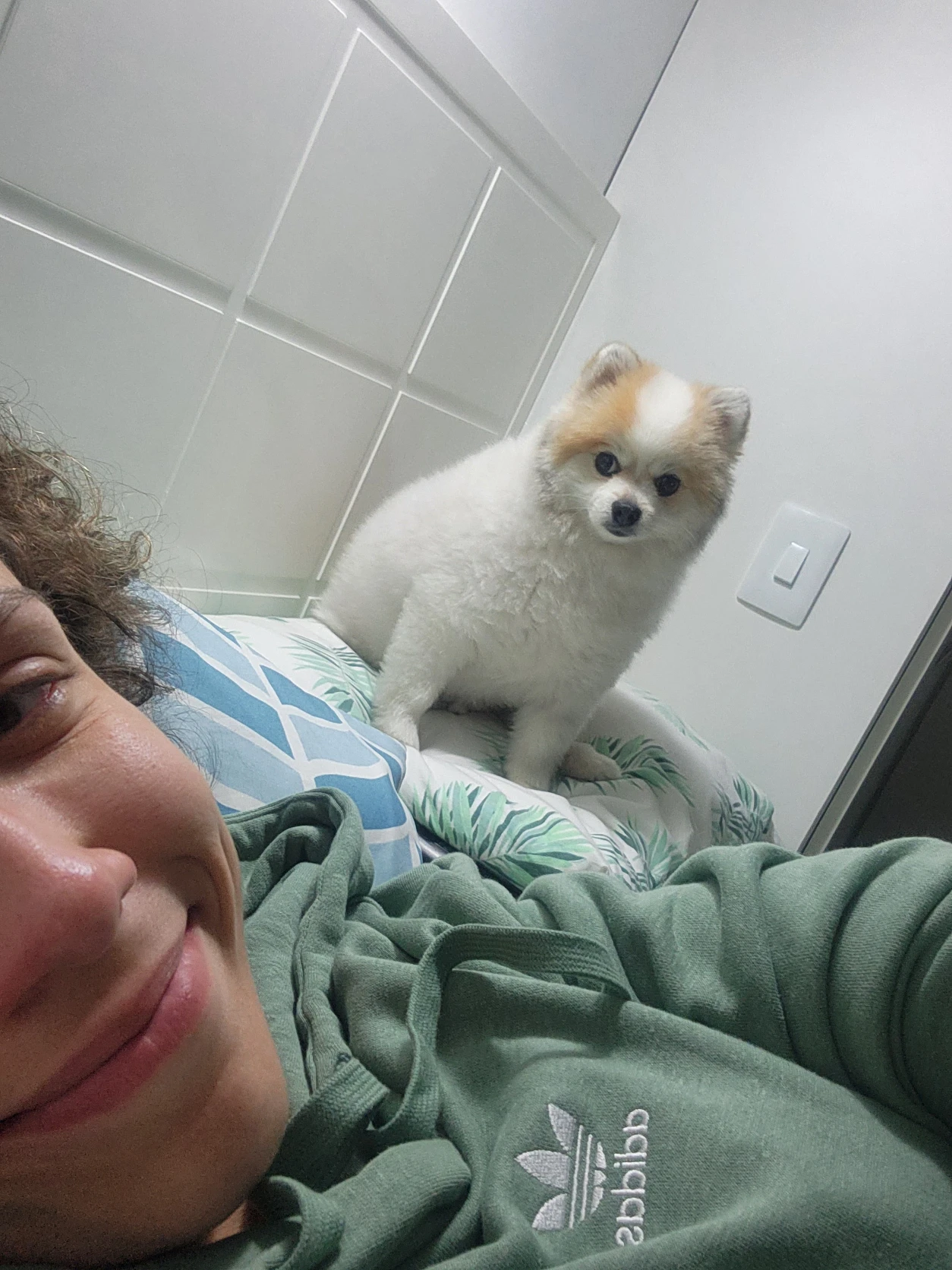 image-4