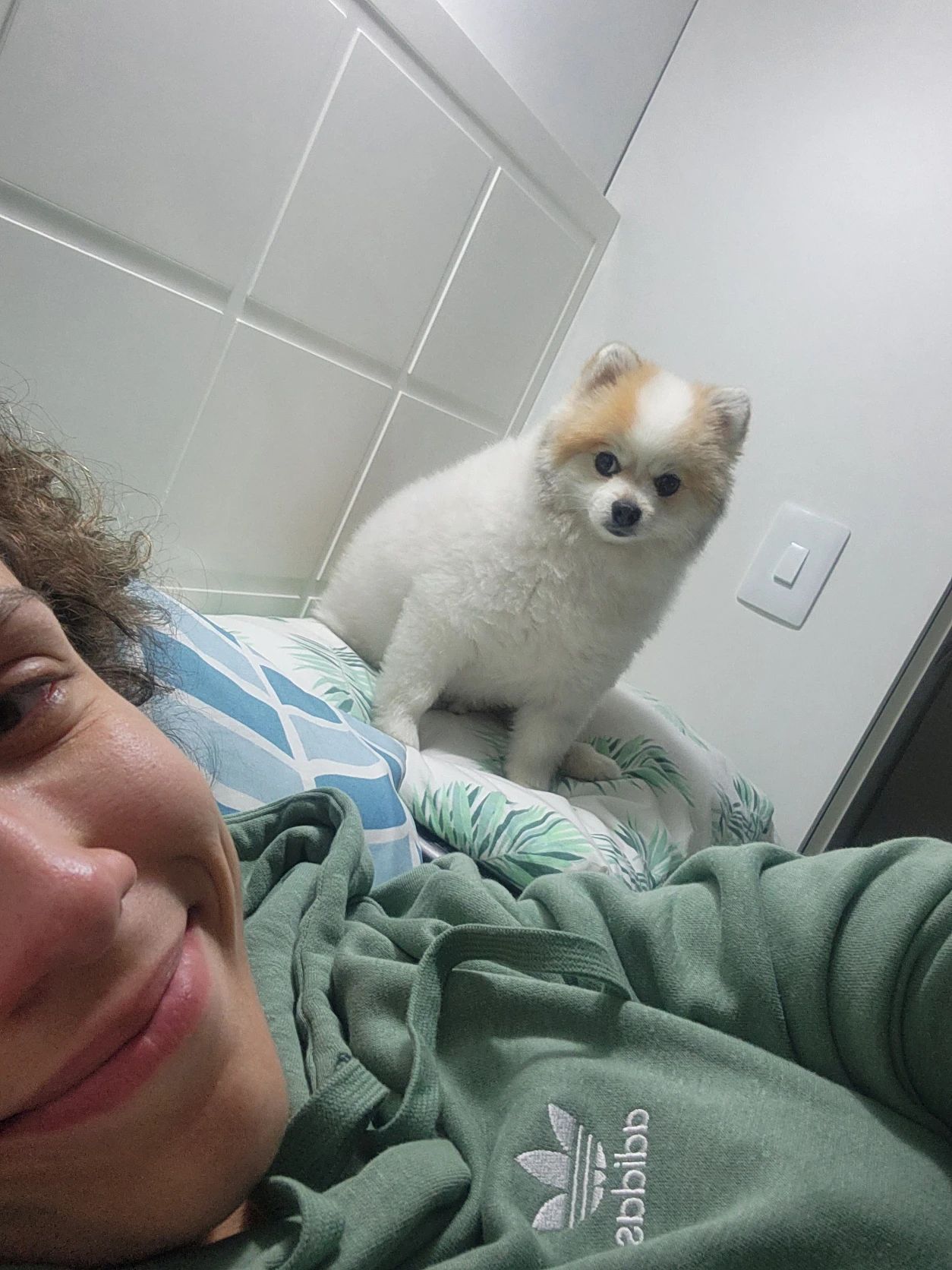 image-4