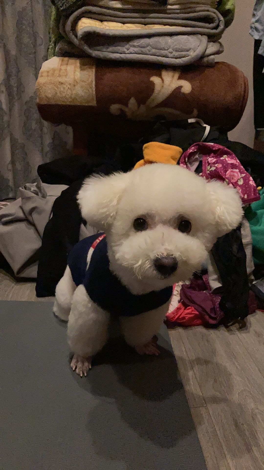 image-5