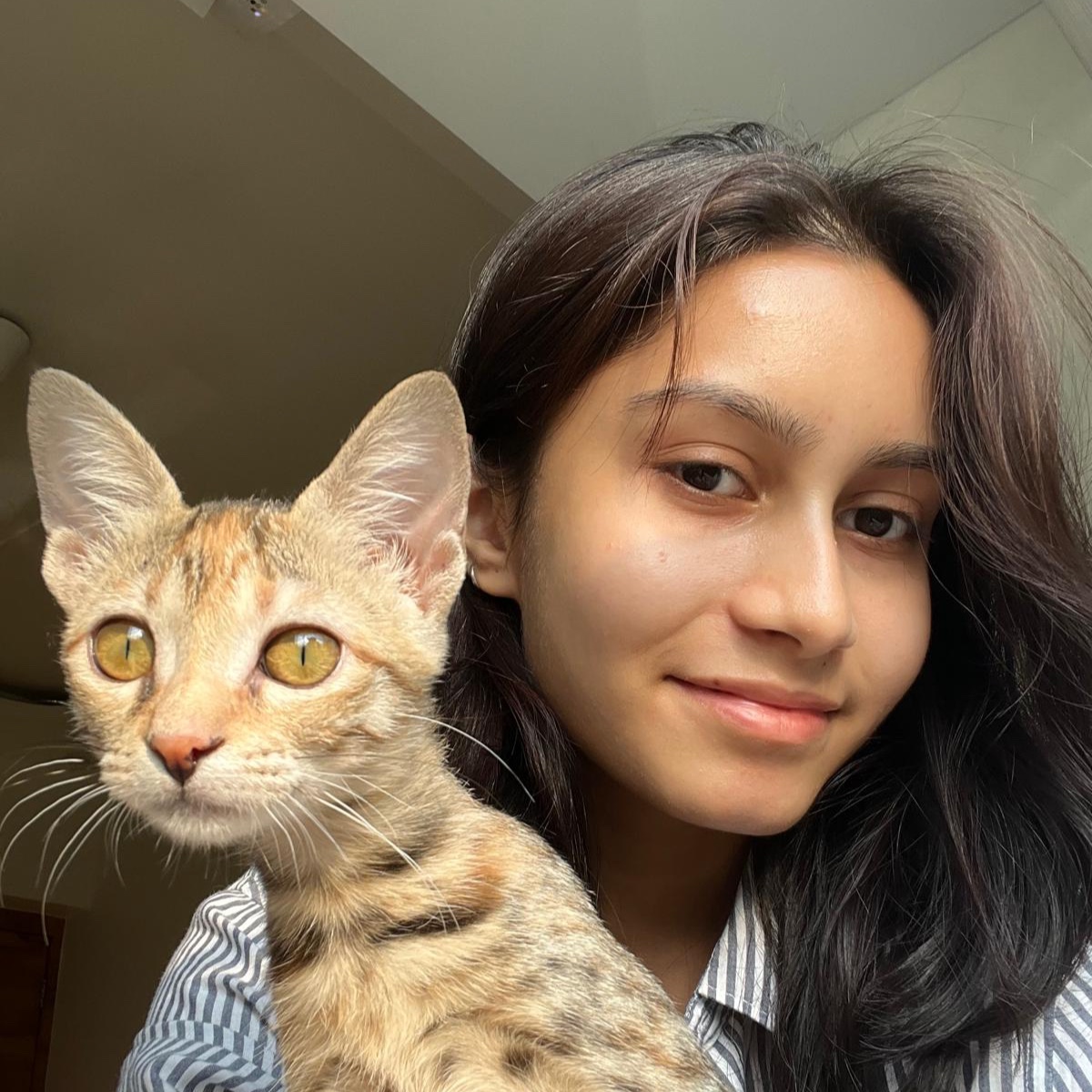 Iraa