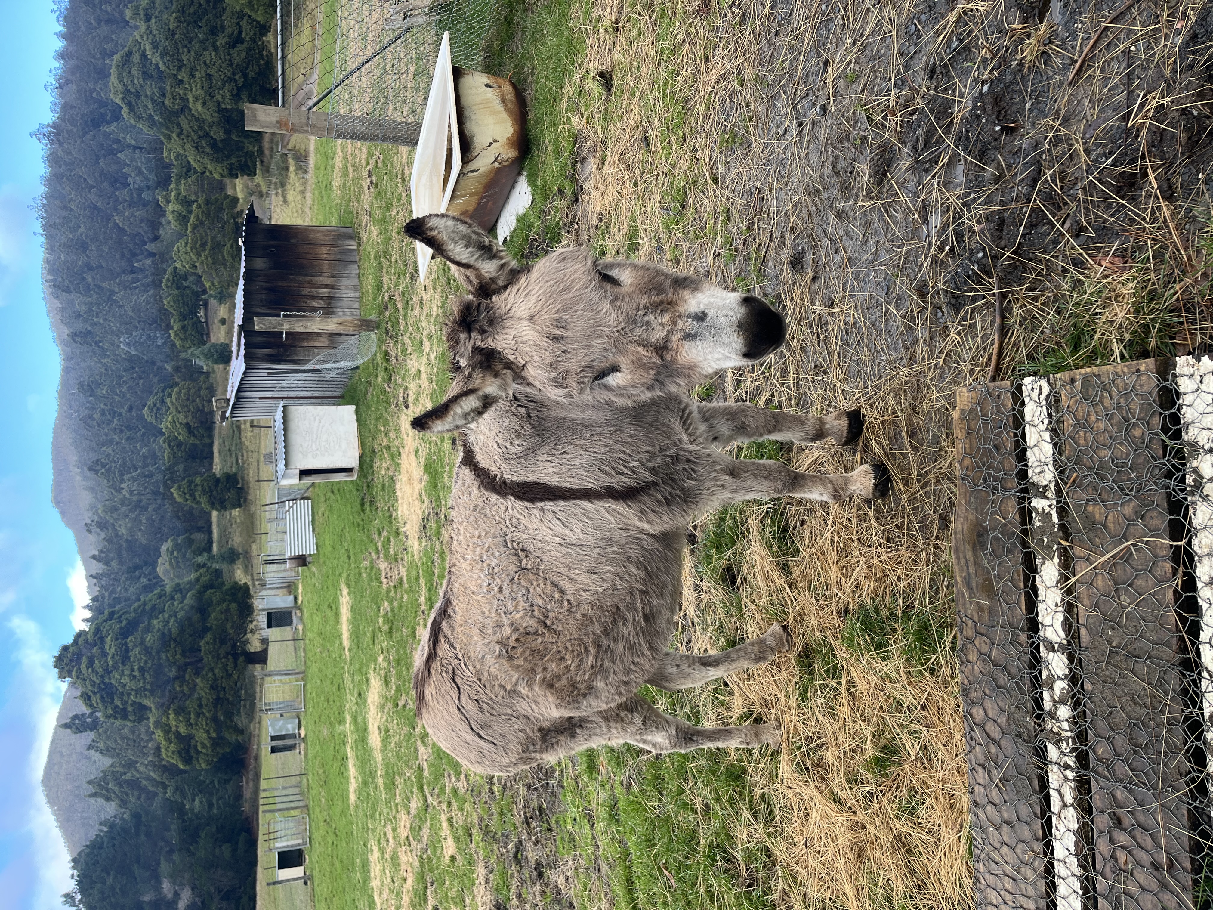 image-8