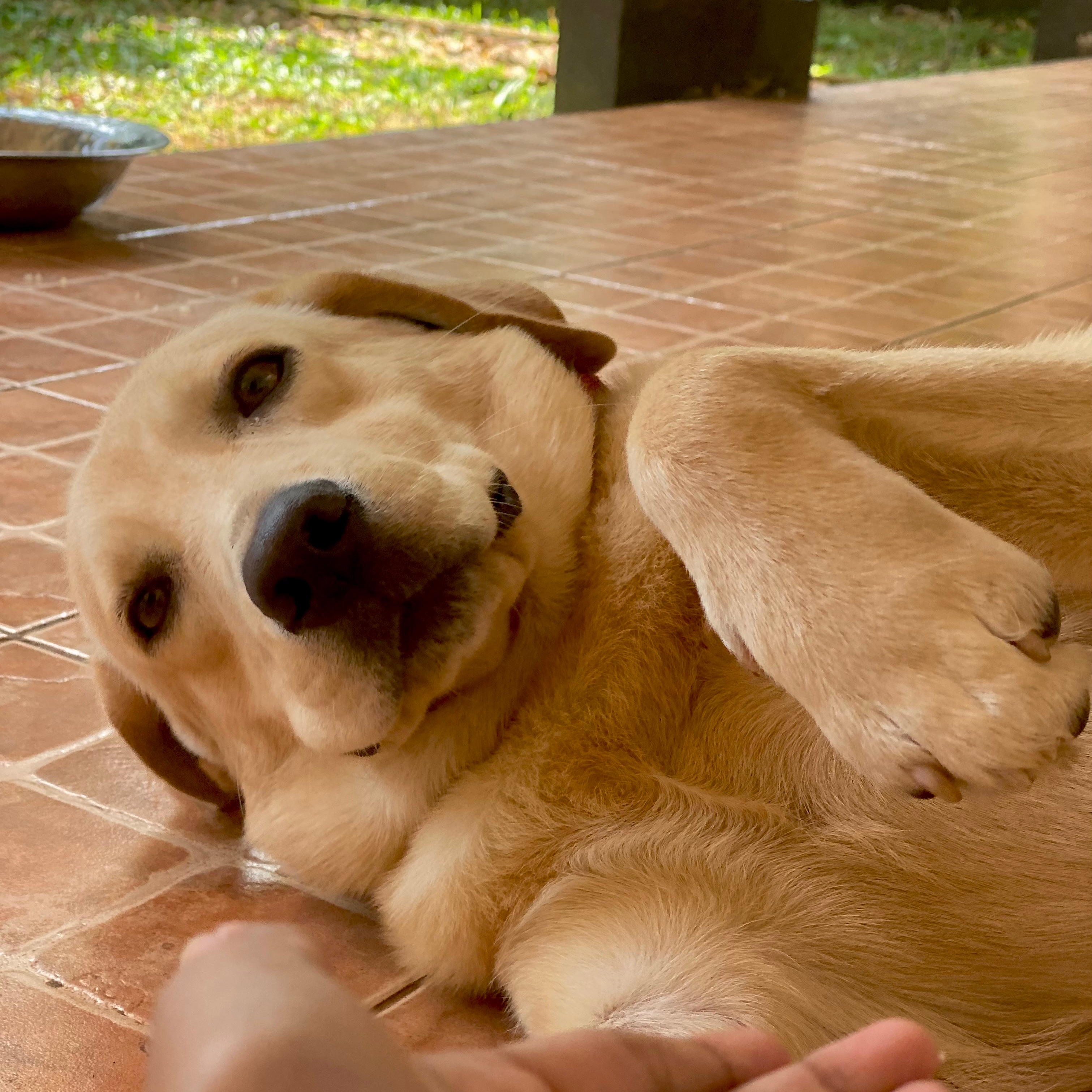 Max