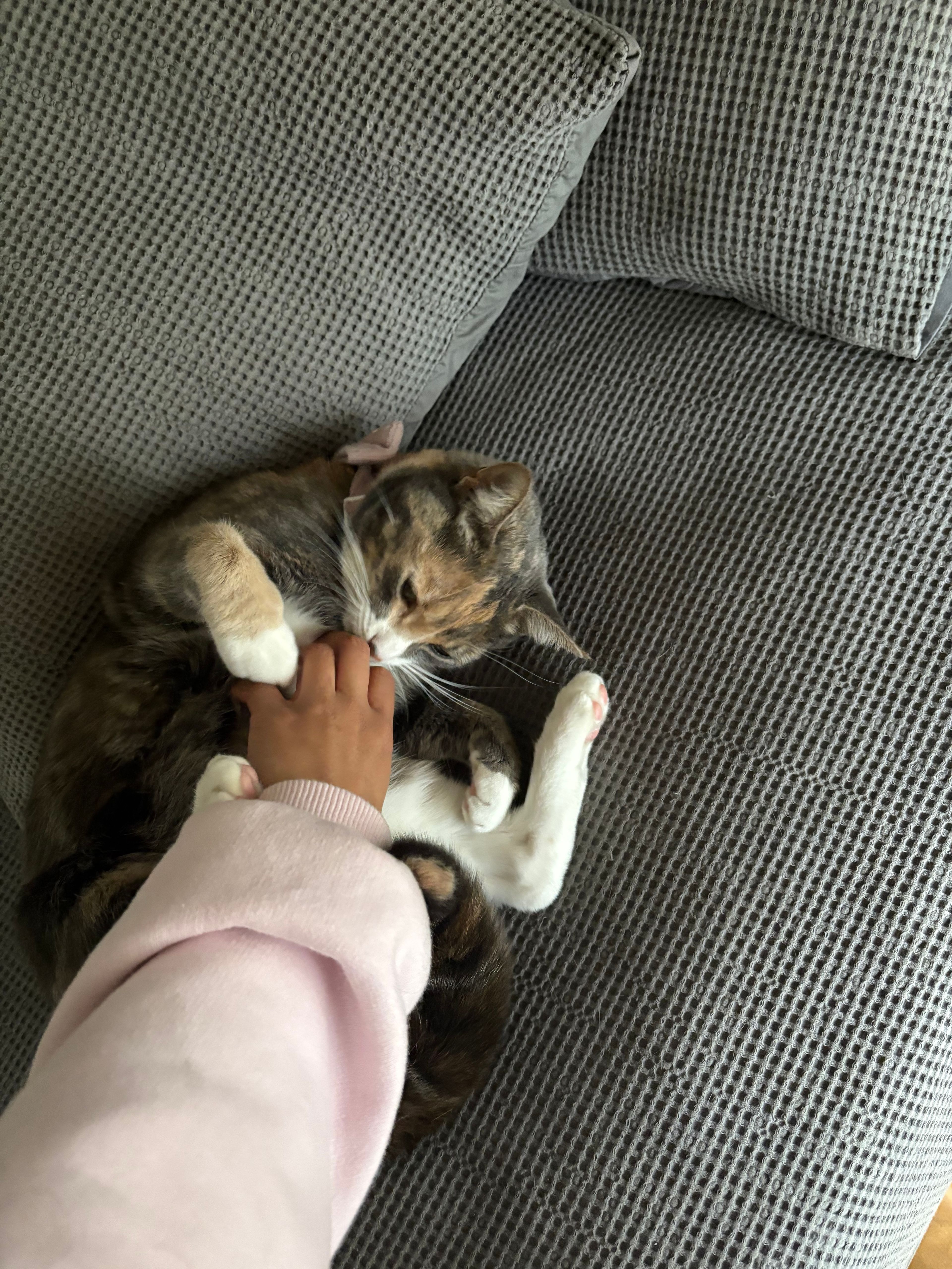 image-6