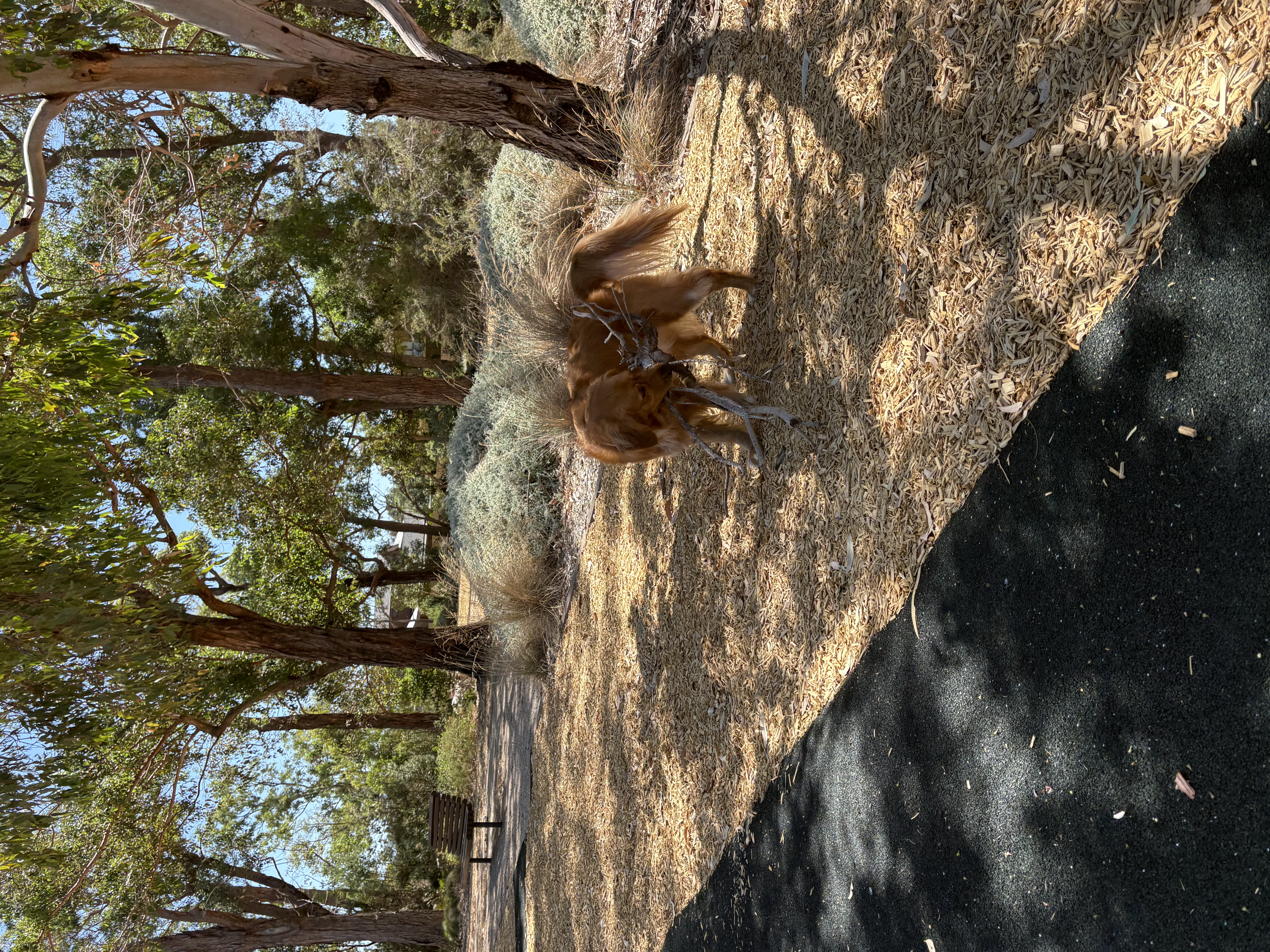 image-14