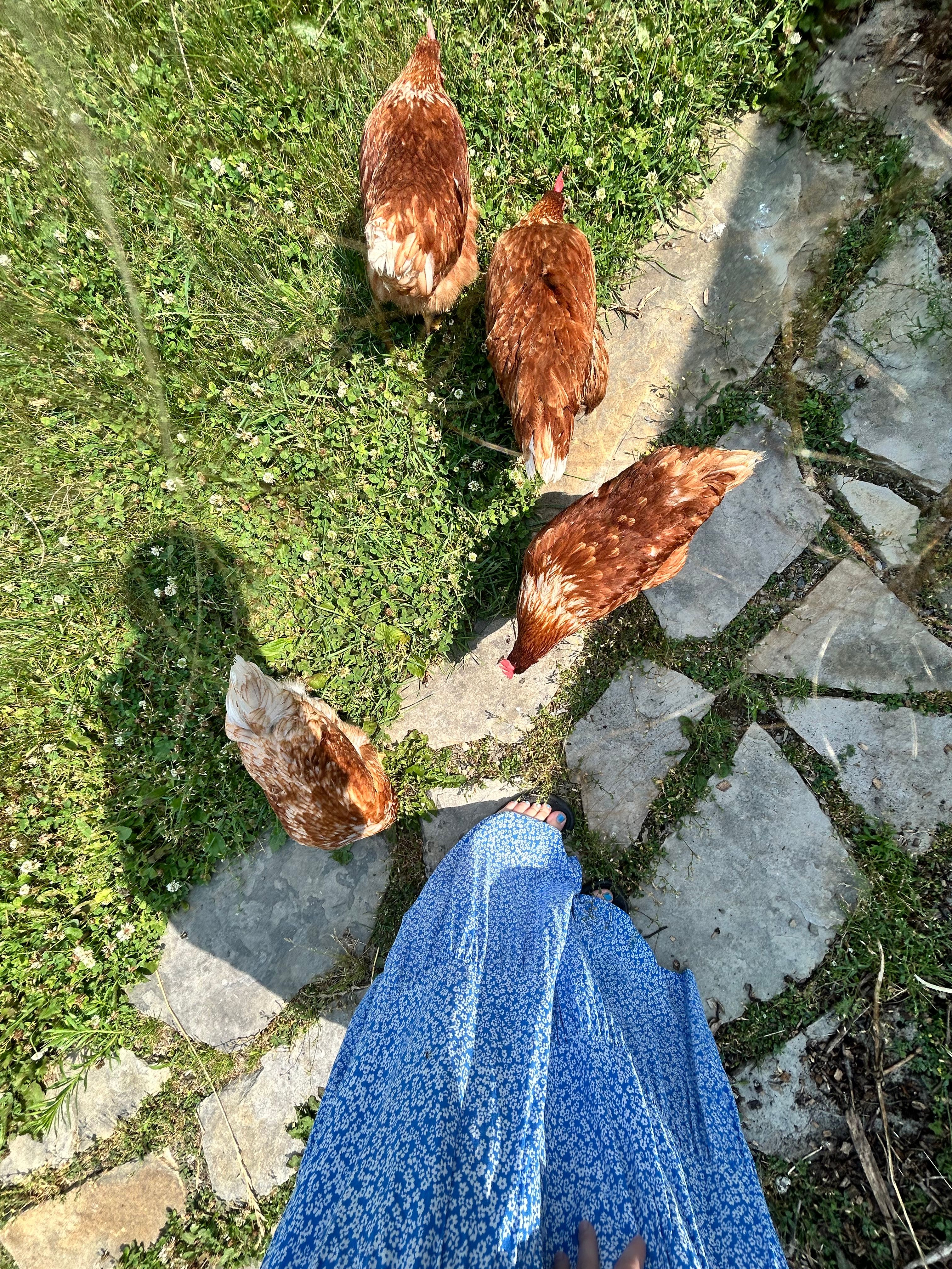 image-7