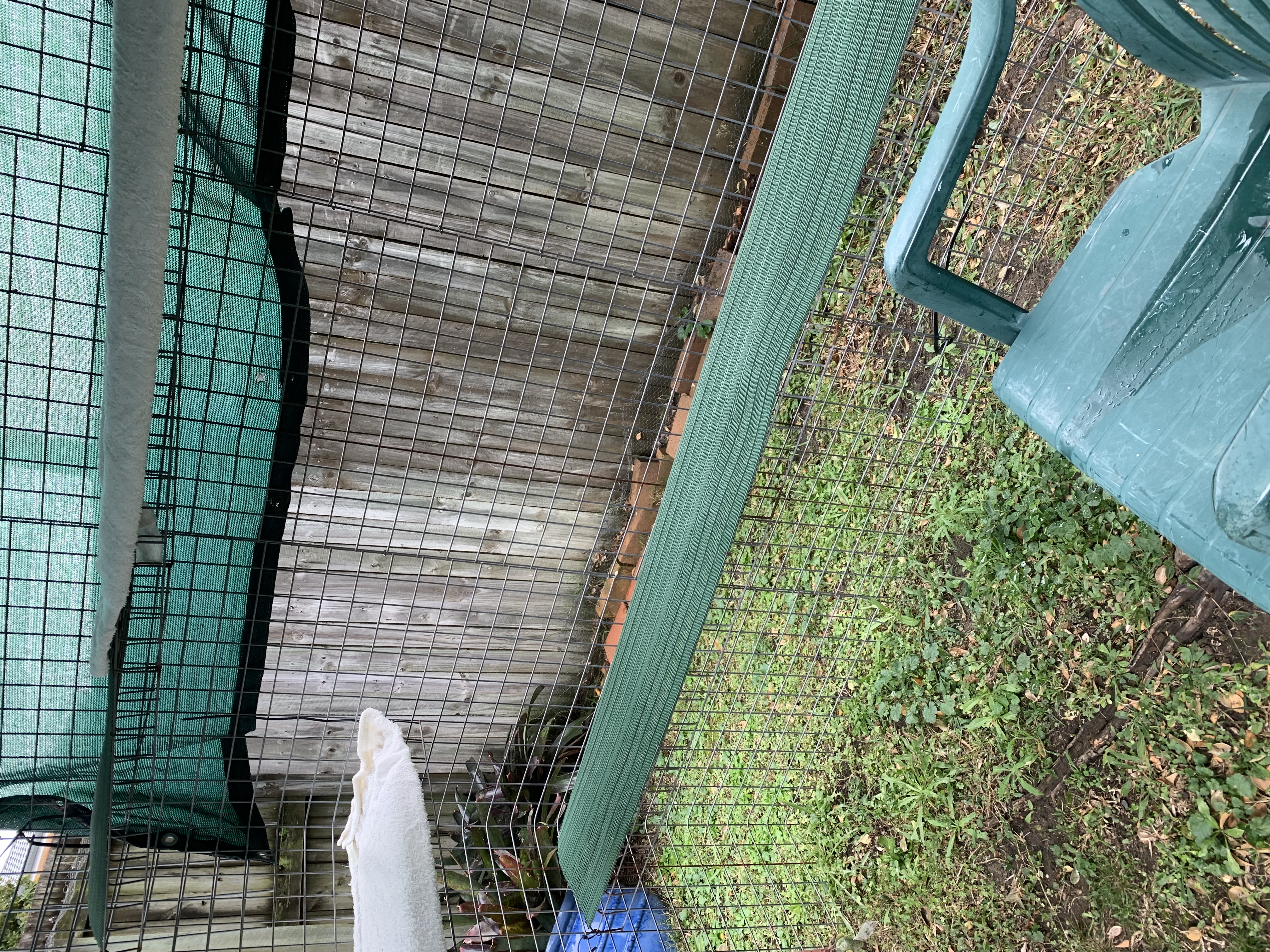 image-16