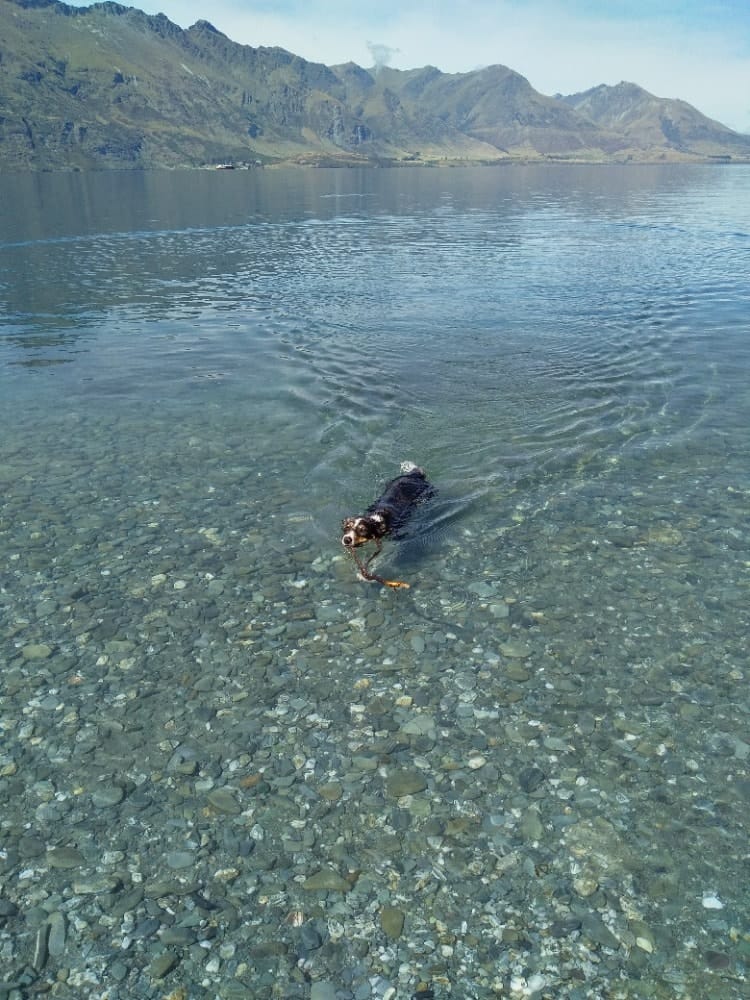 image-4