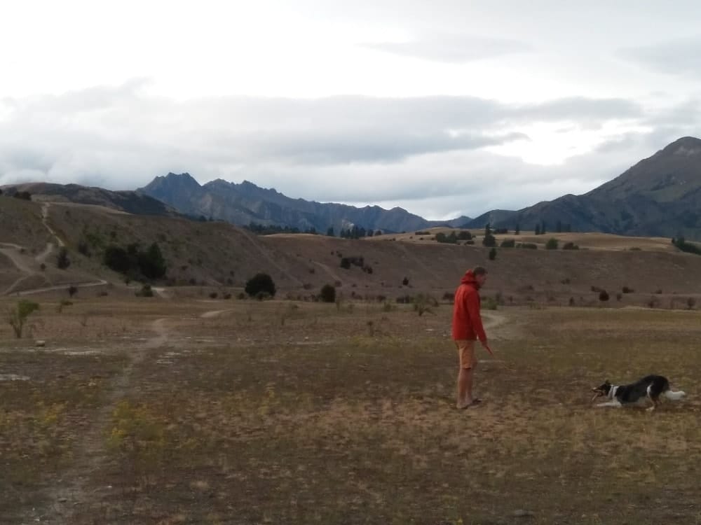 image-3