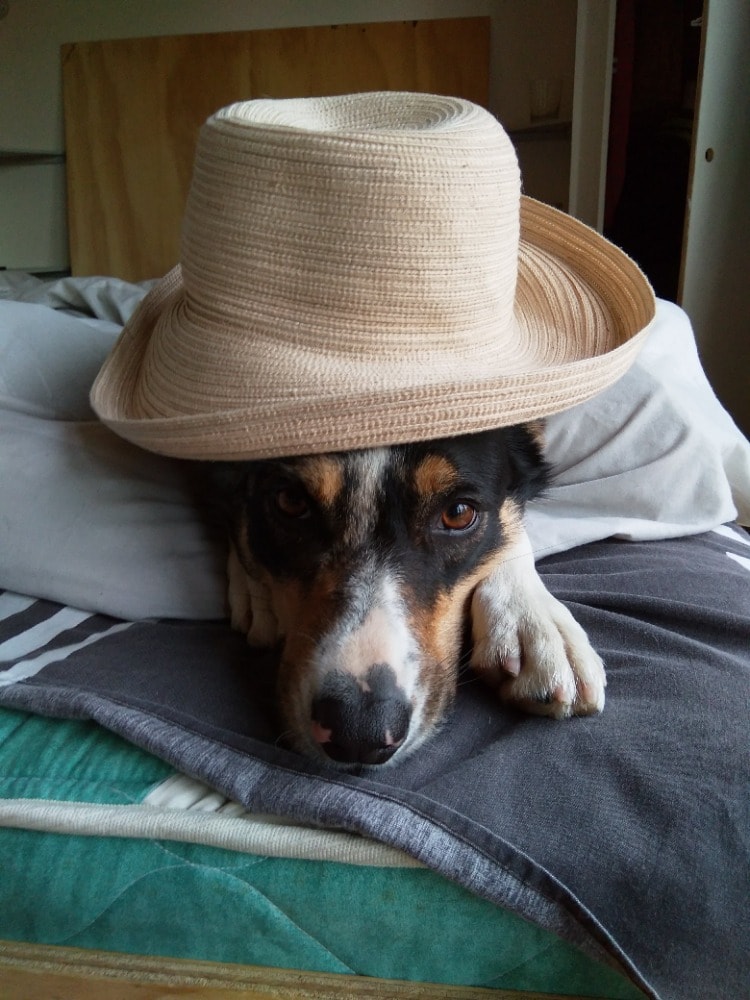 image-5