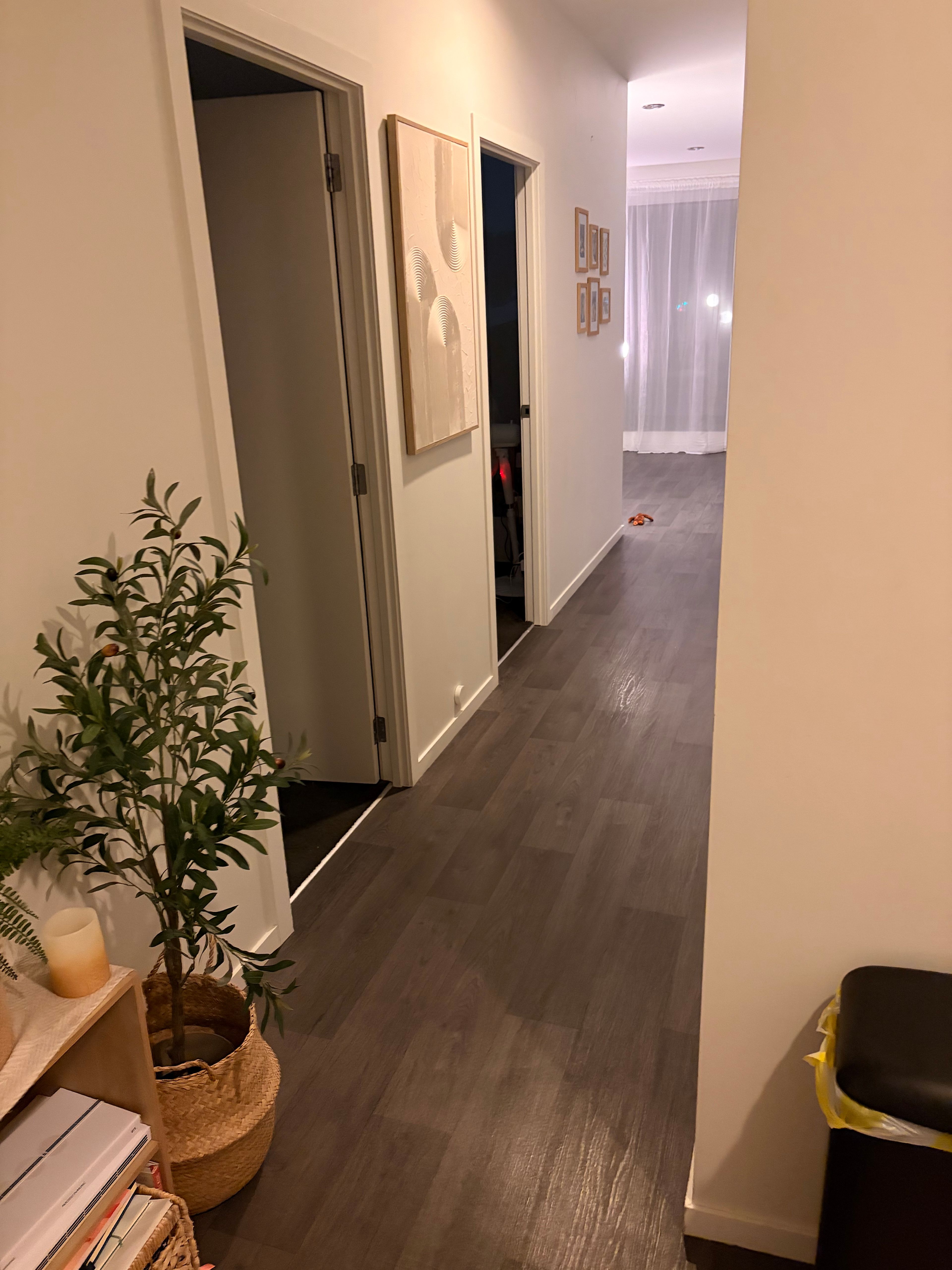 image-17