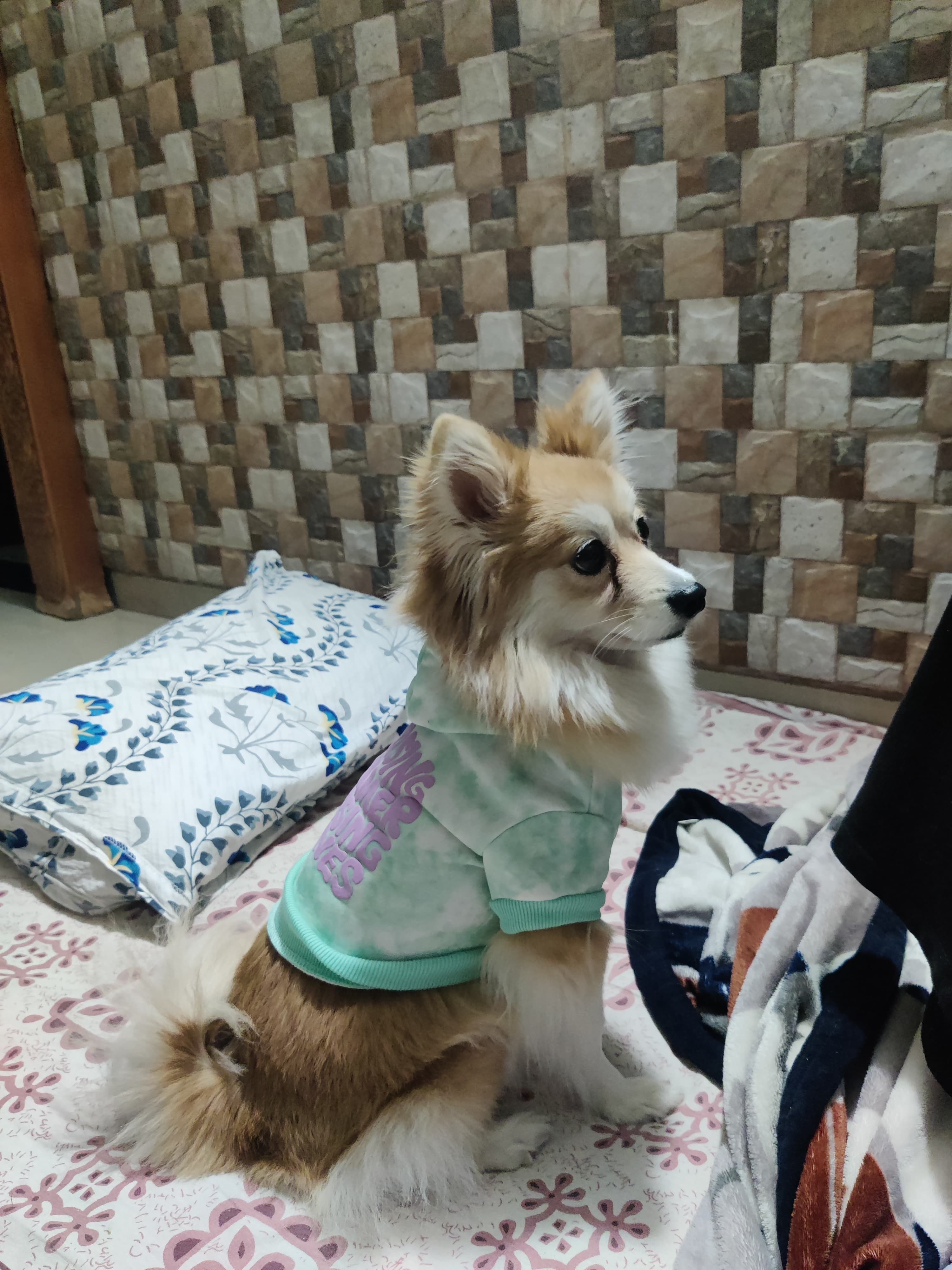 image-10