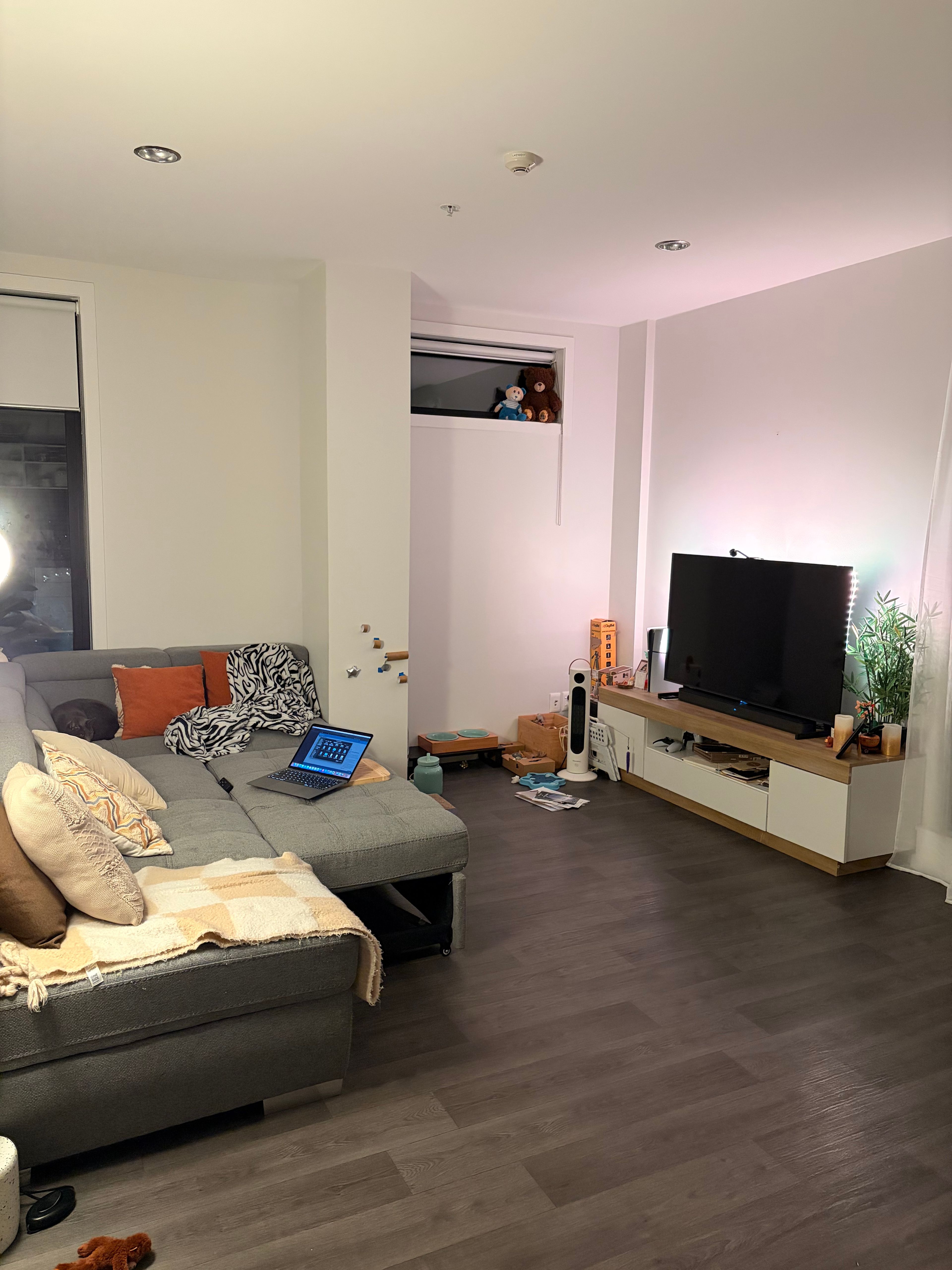 image-15