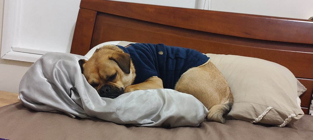 Coco