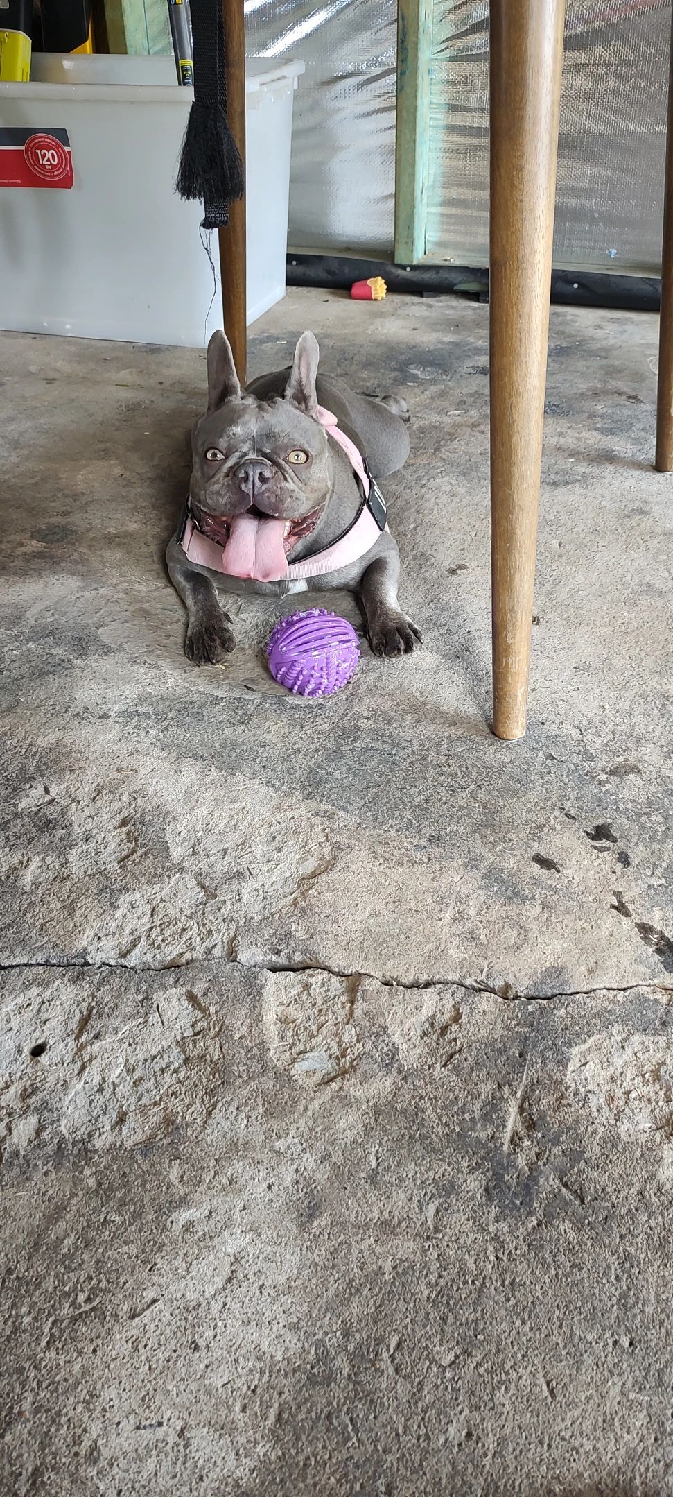 image-42