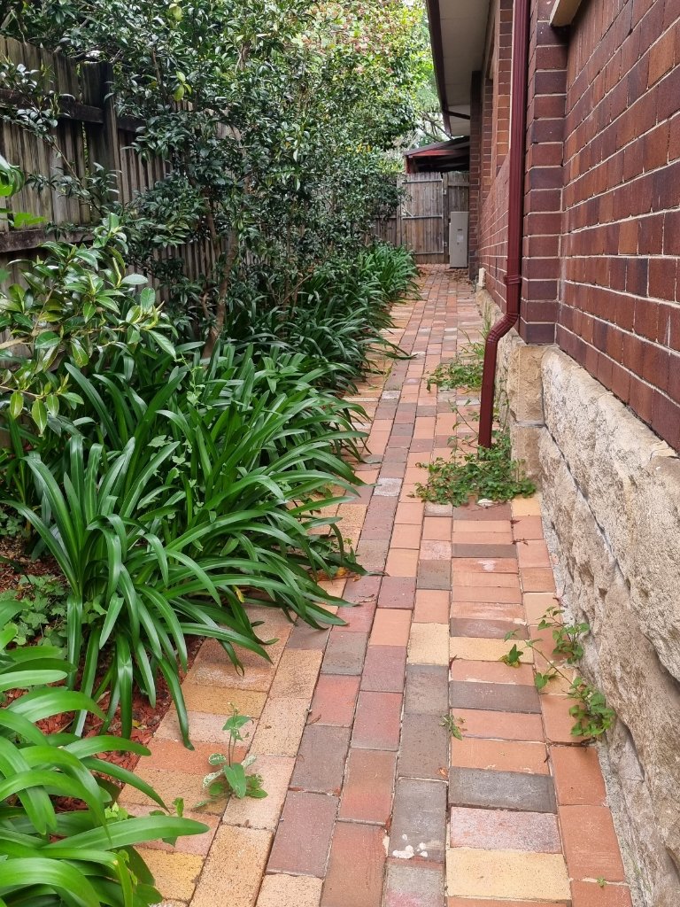 image-21