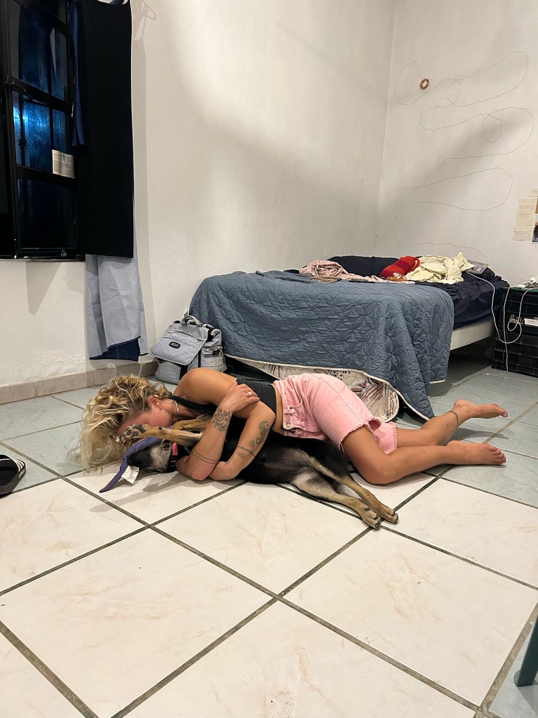 image-6