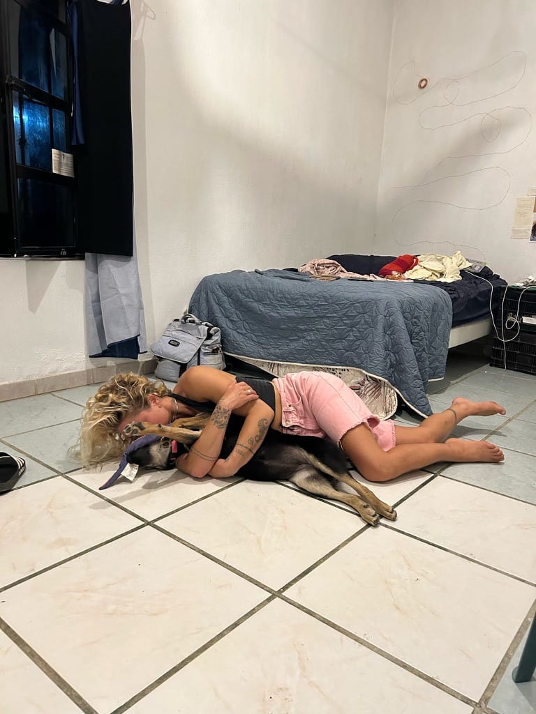 image-6