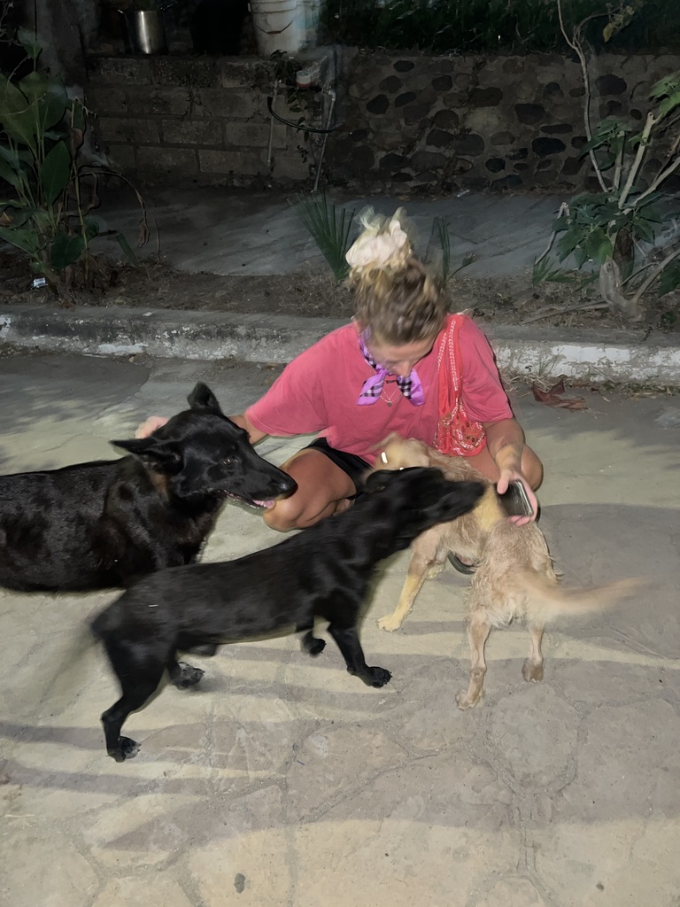 image-26
