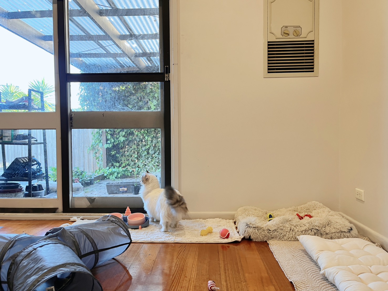 image-36