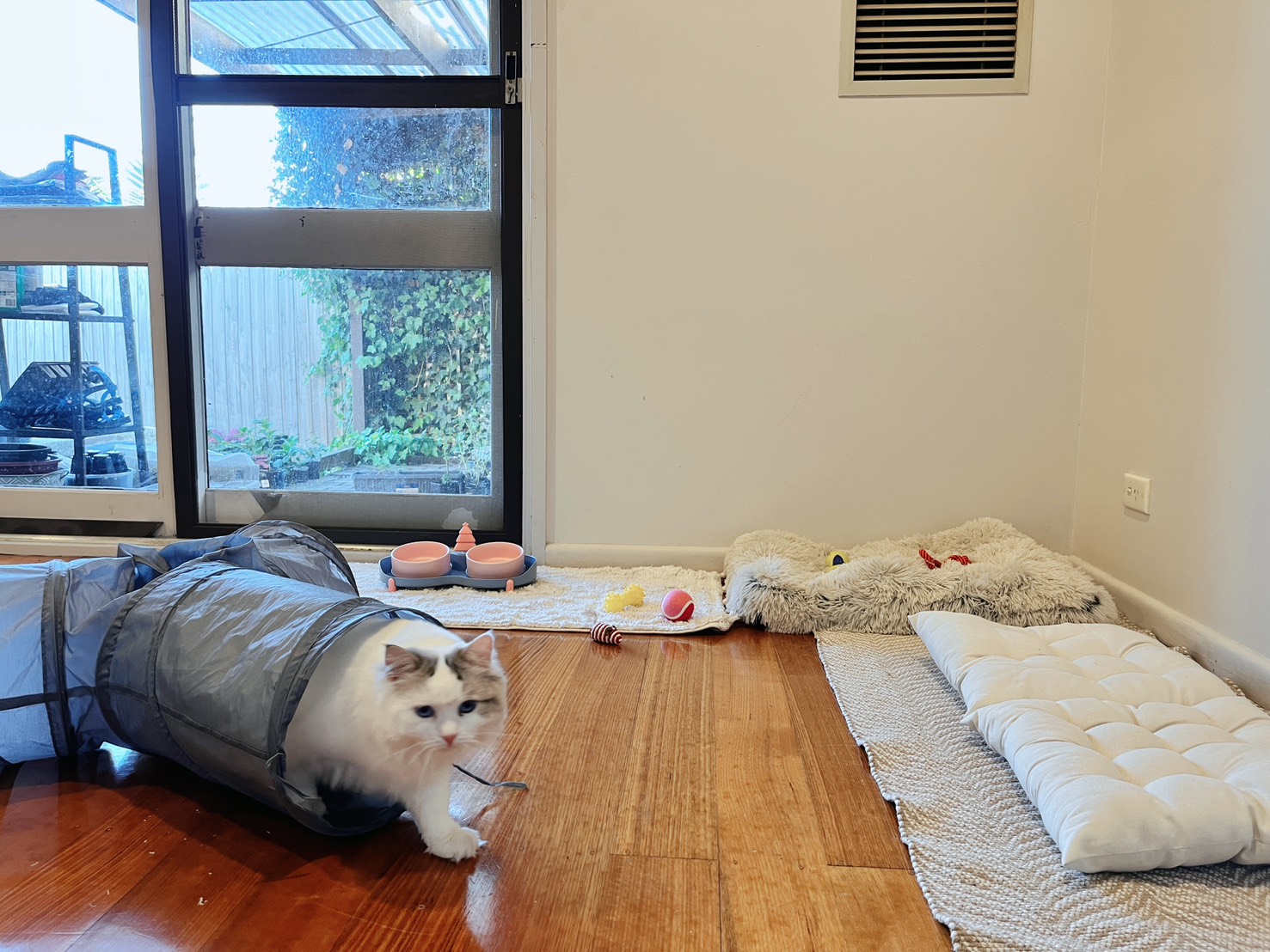 image-37
