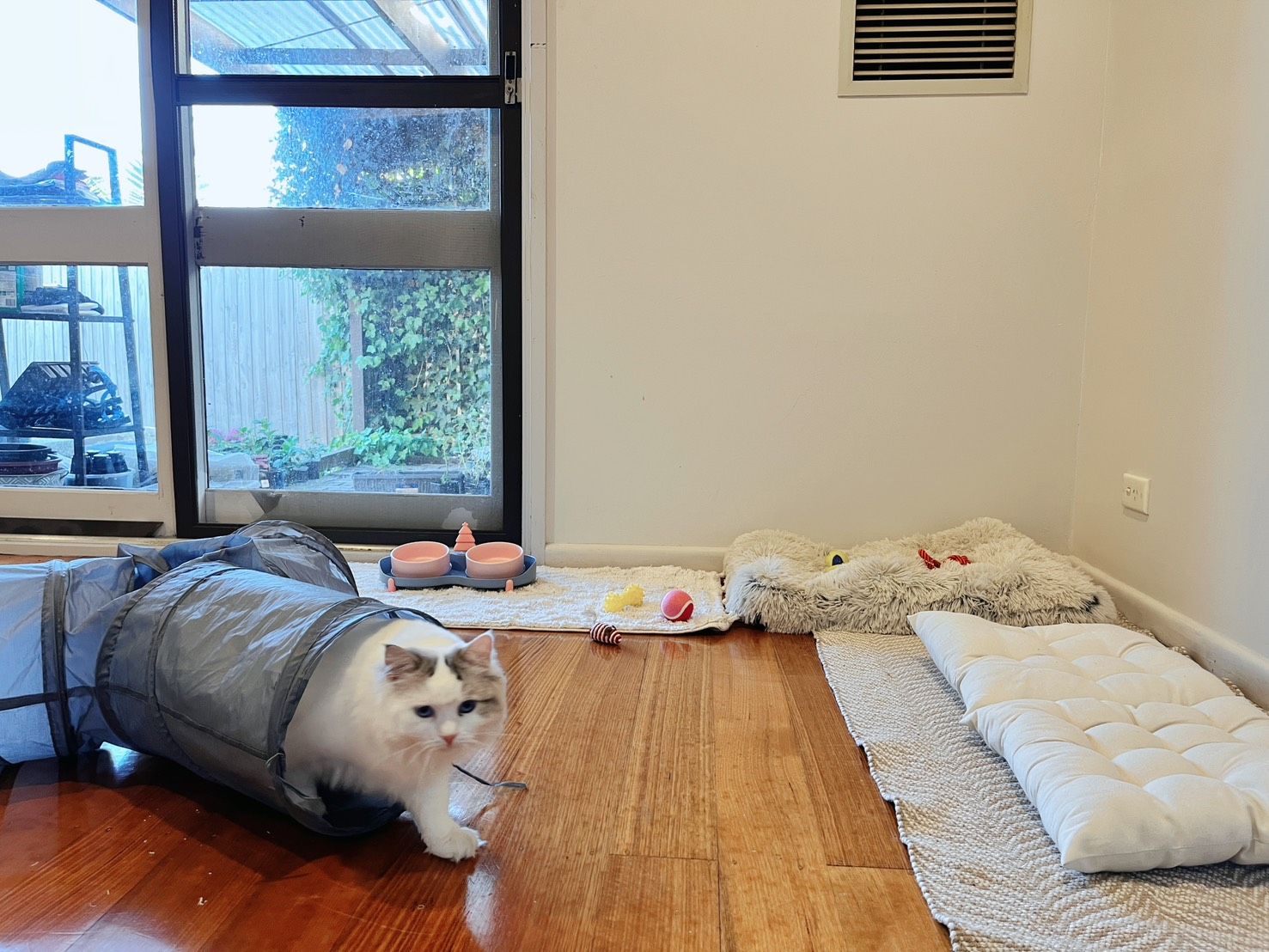 image-37