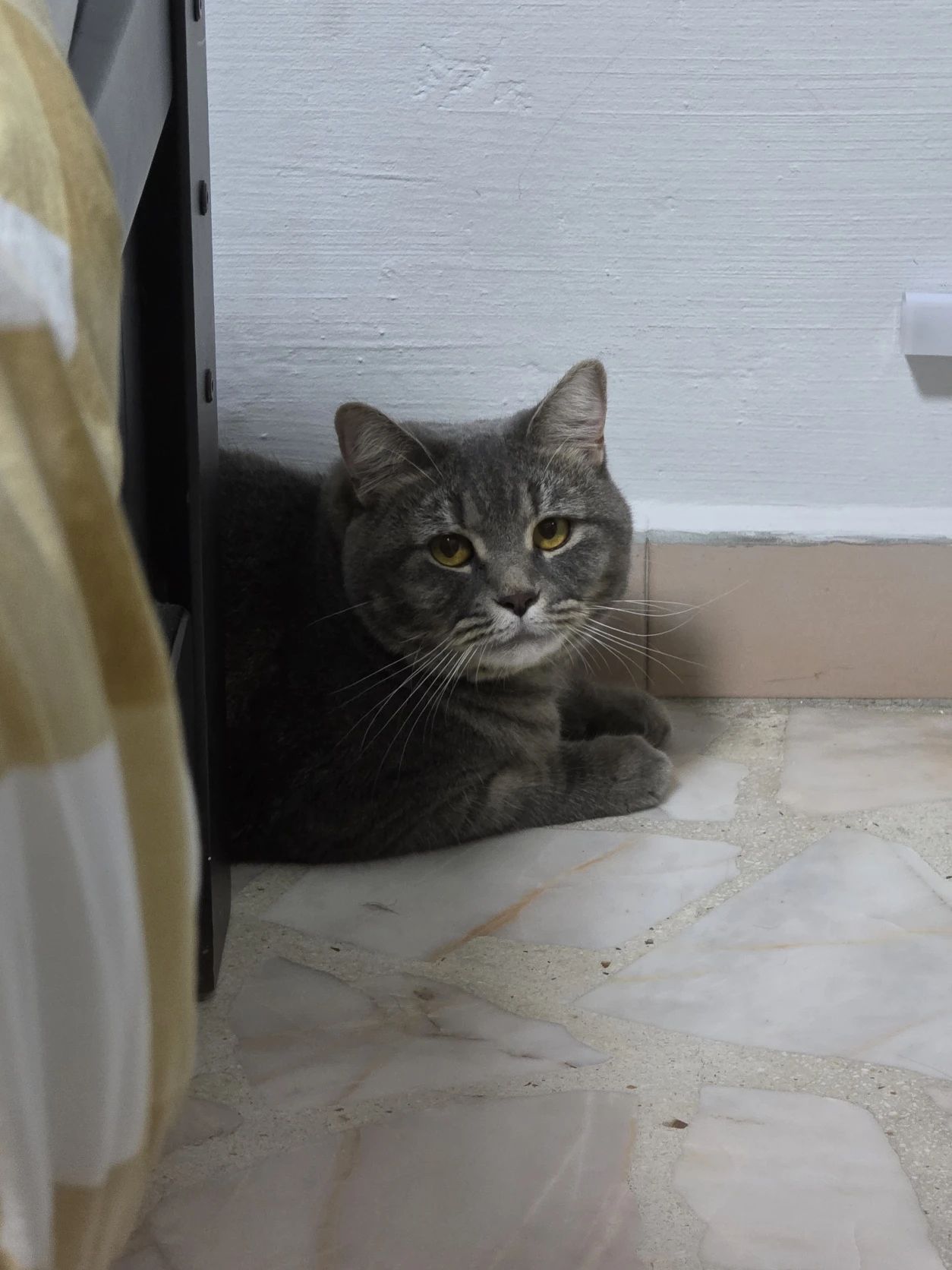 image-8