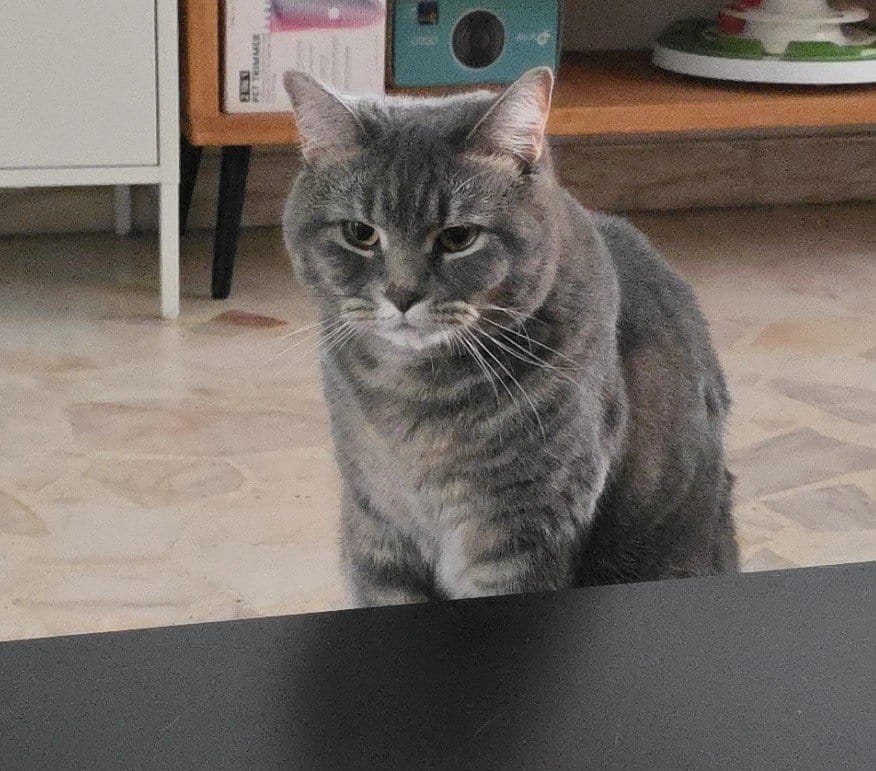 image-6