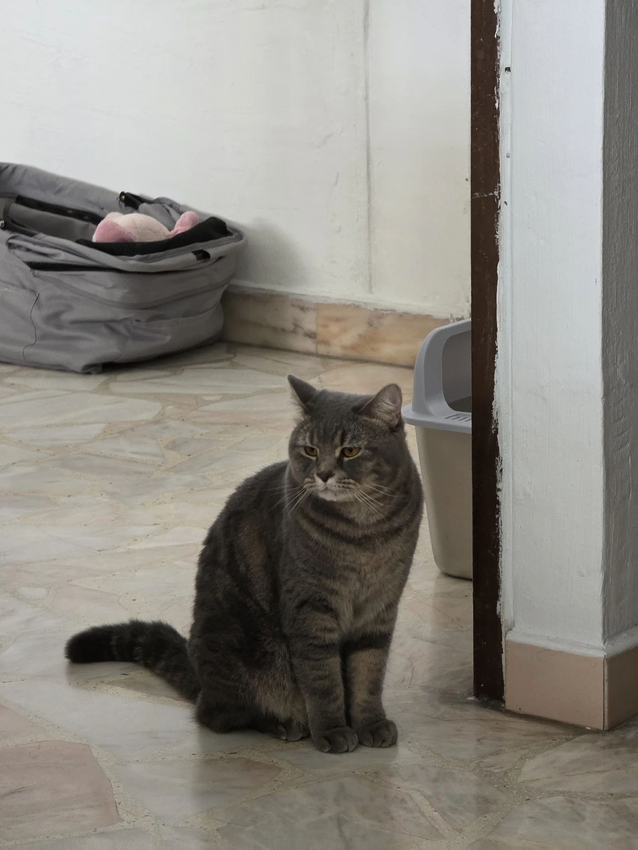 image-9
