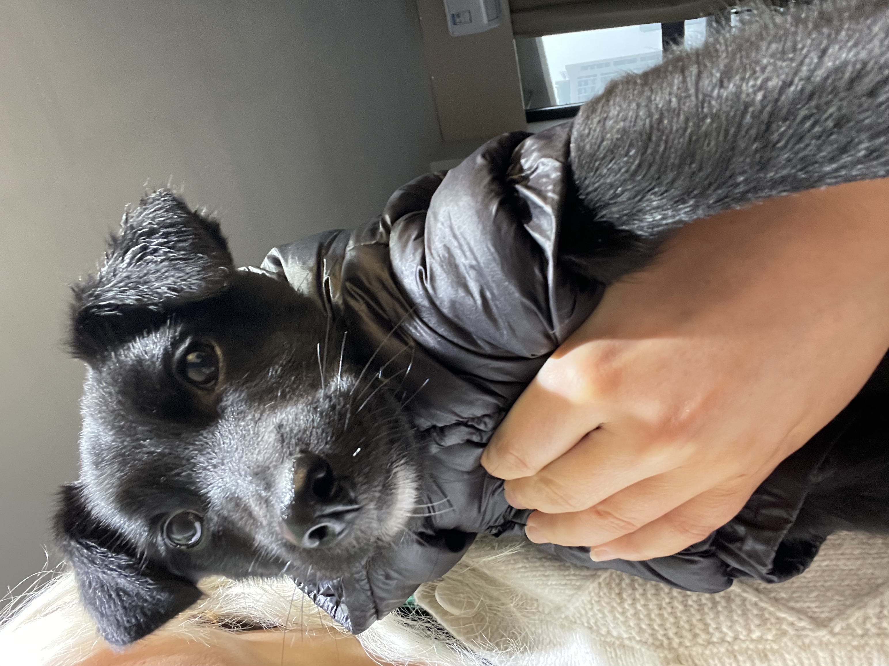 image-7