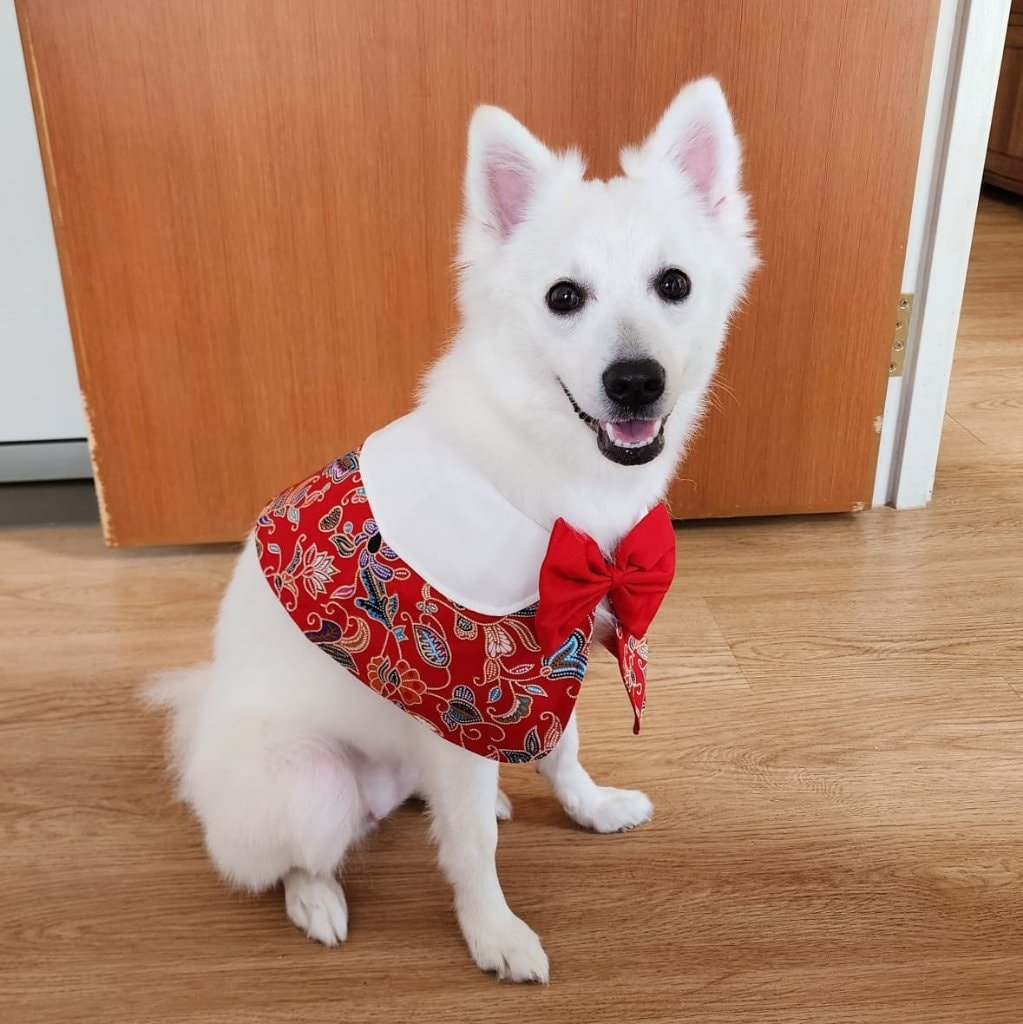 Sharon