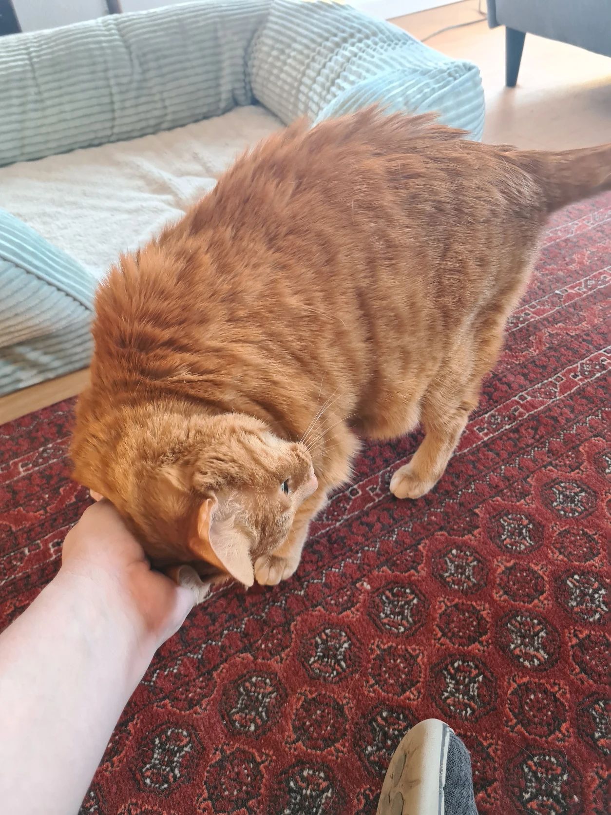 image-3
