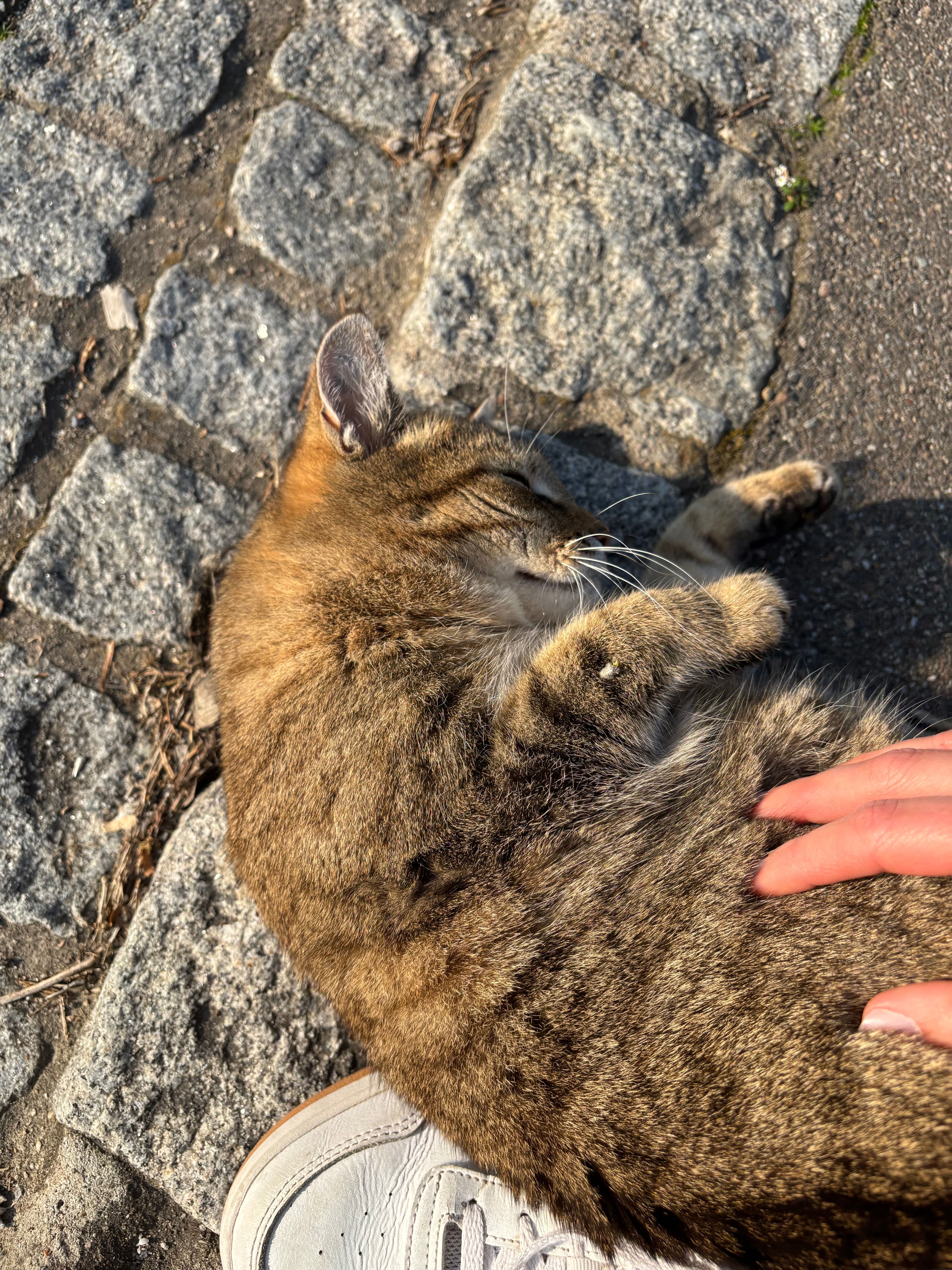 image-2