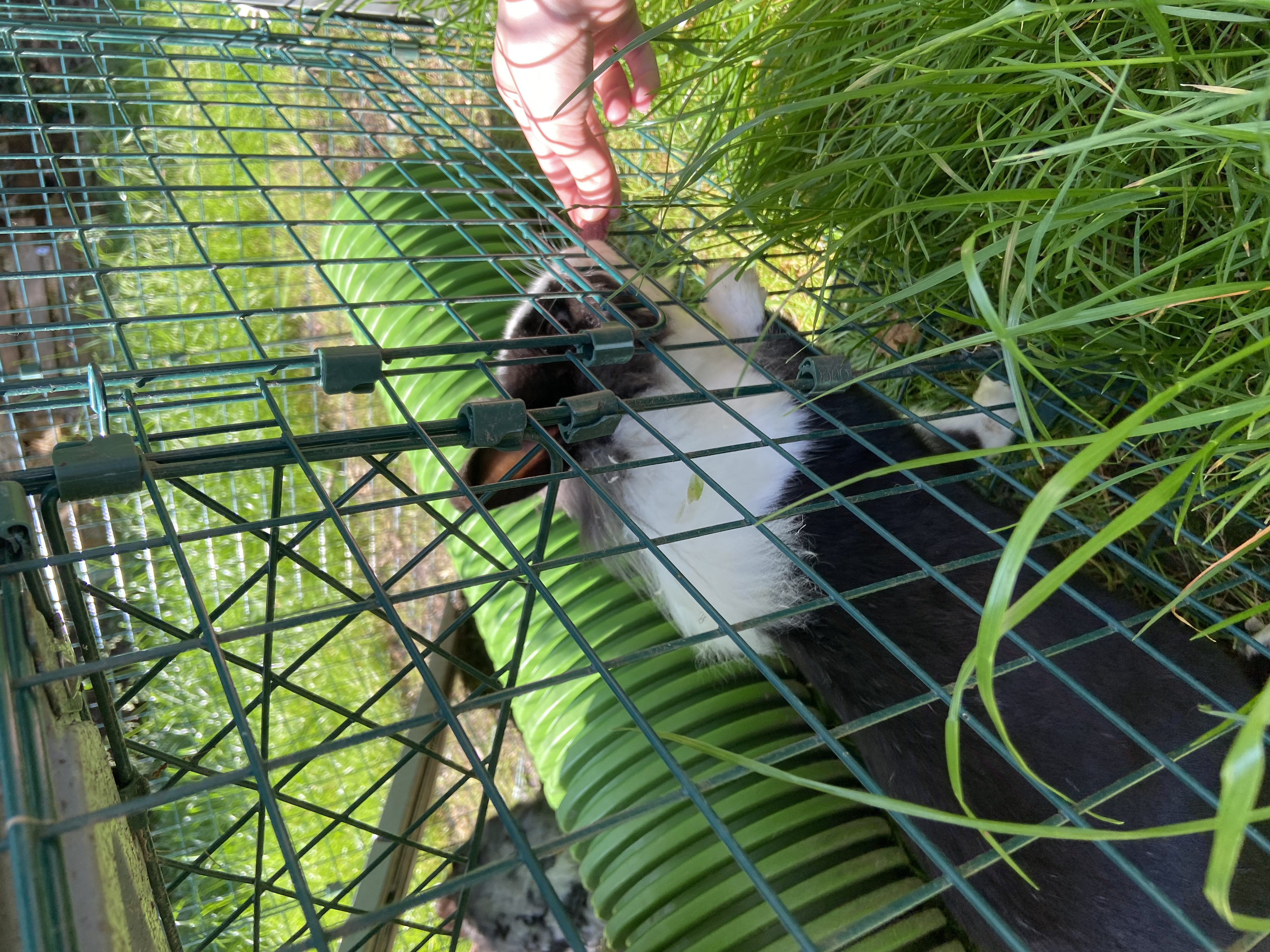 image-8
