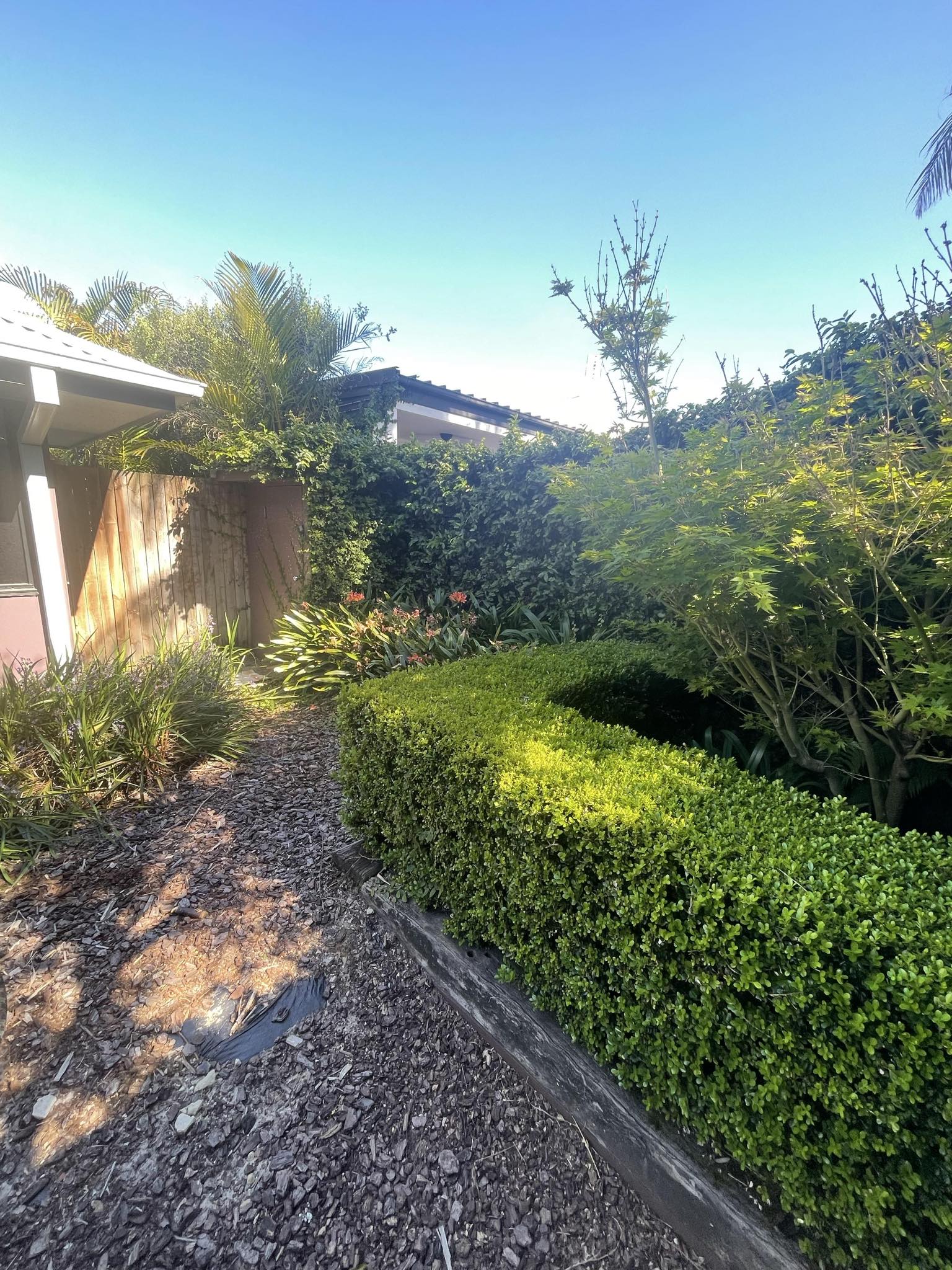 image-14